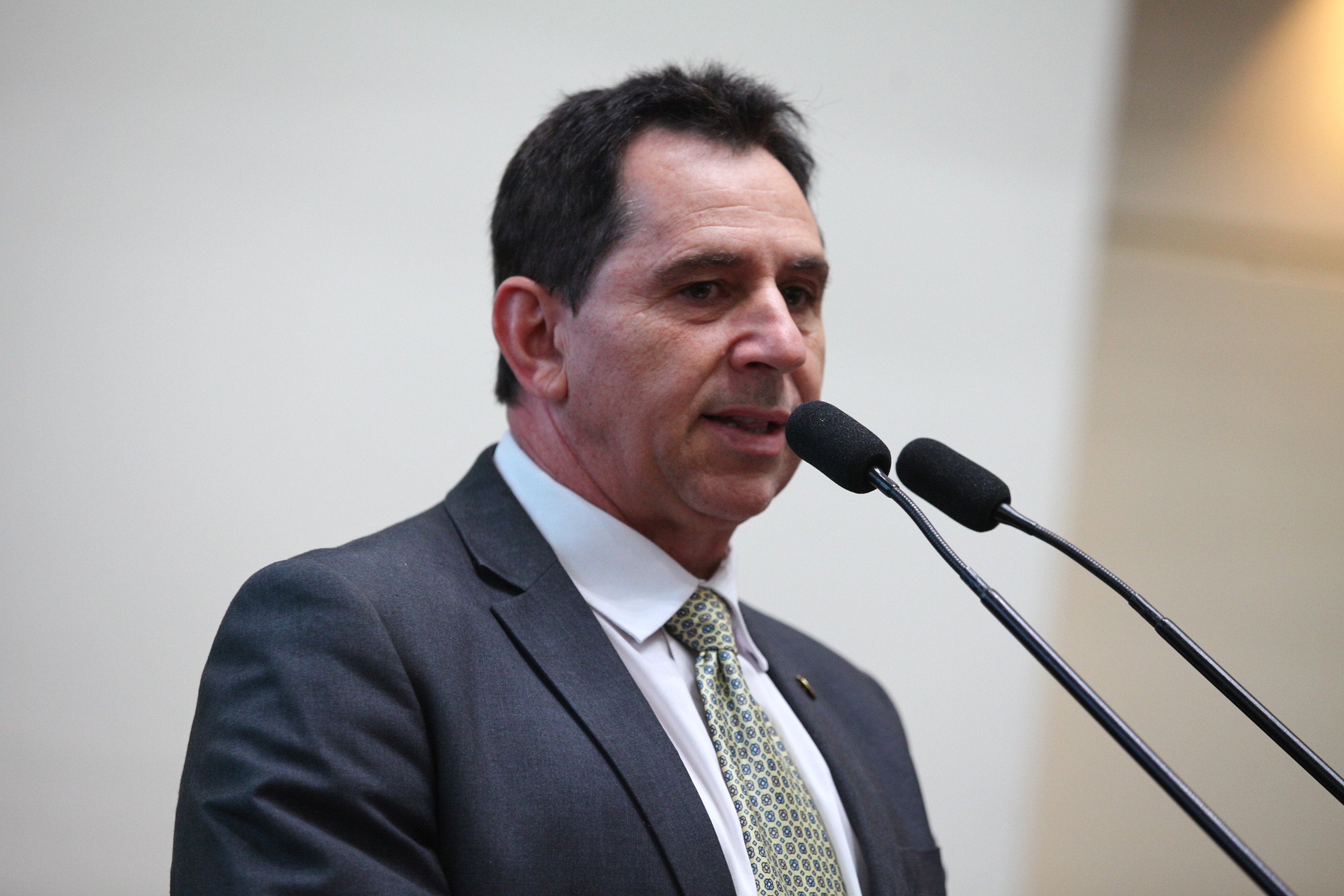 Sessão Ordinária em 14/02/2019 - Deputado Coronel Onir Mocellin (PSL)