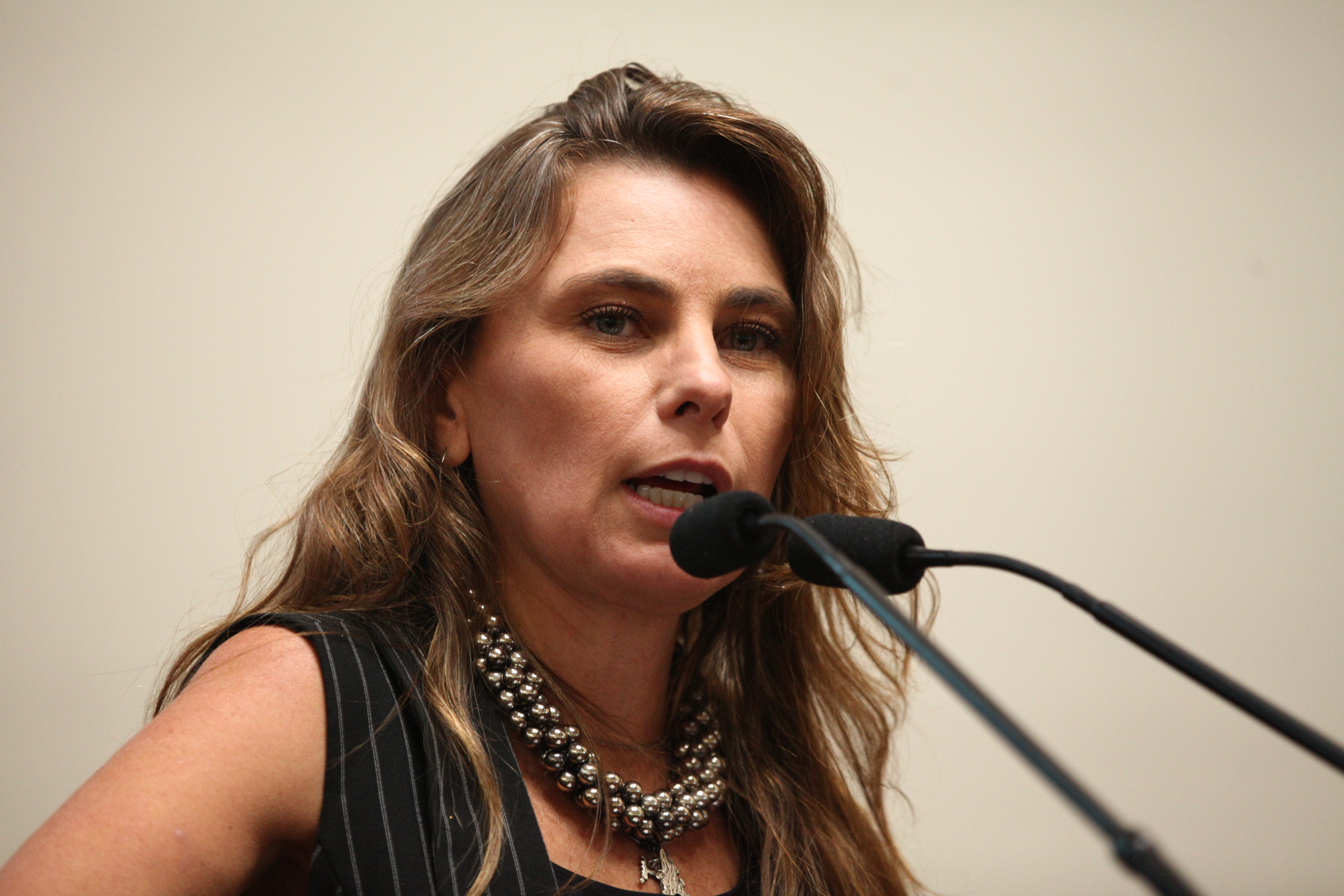 Sessão Ordinária em 14/02/2019 - Deputada Ana Paula da Silva (PDT)