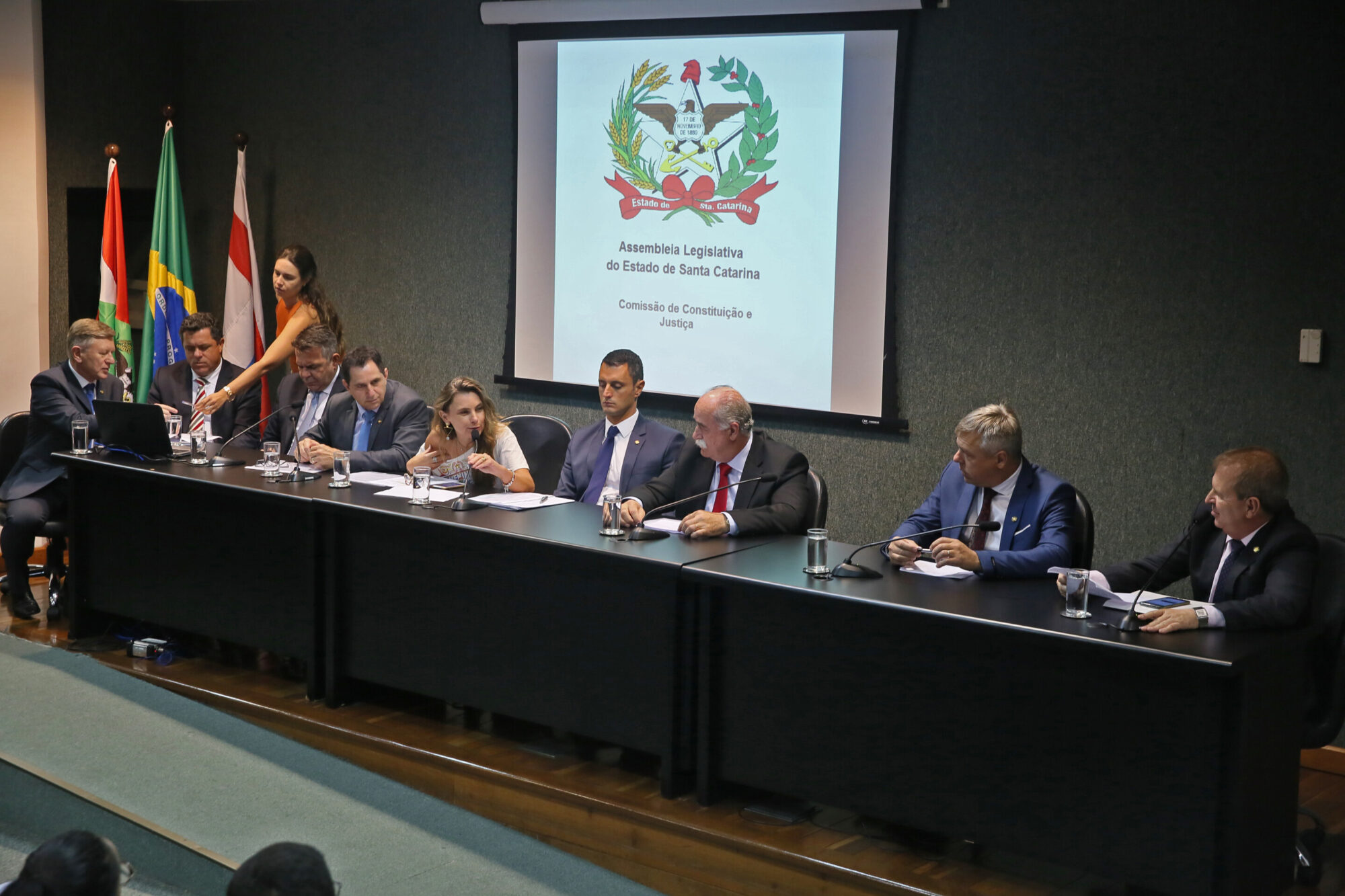 Sete comissões permanentes serão instaladas nesta semana