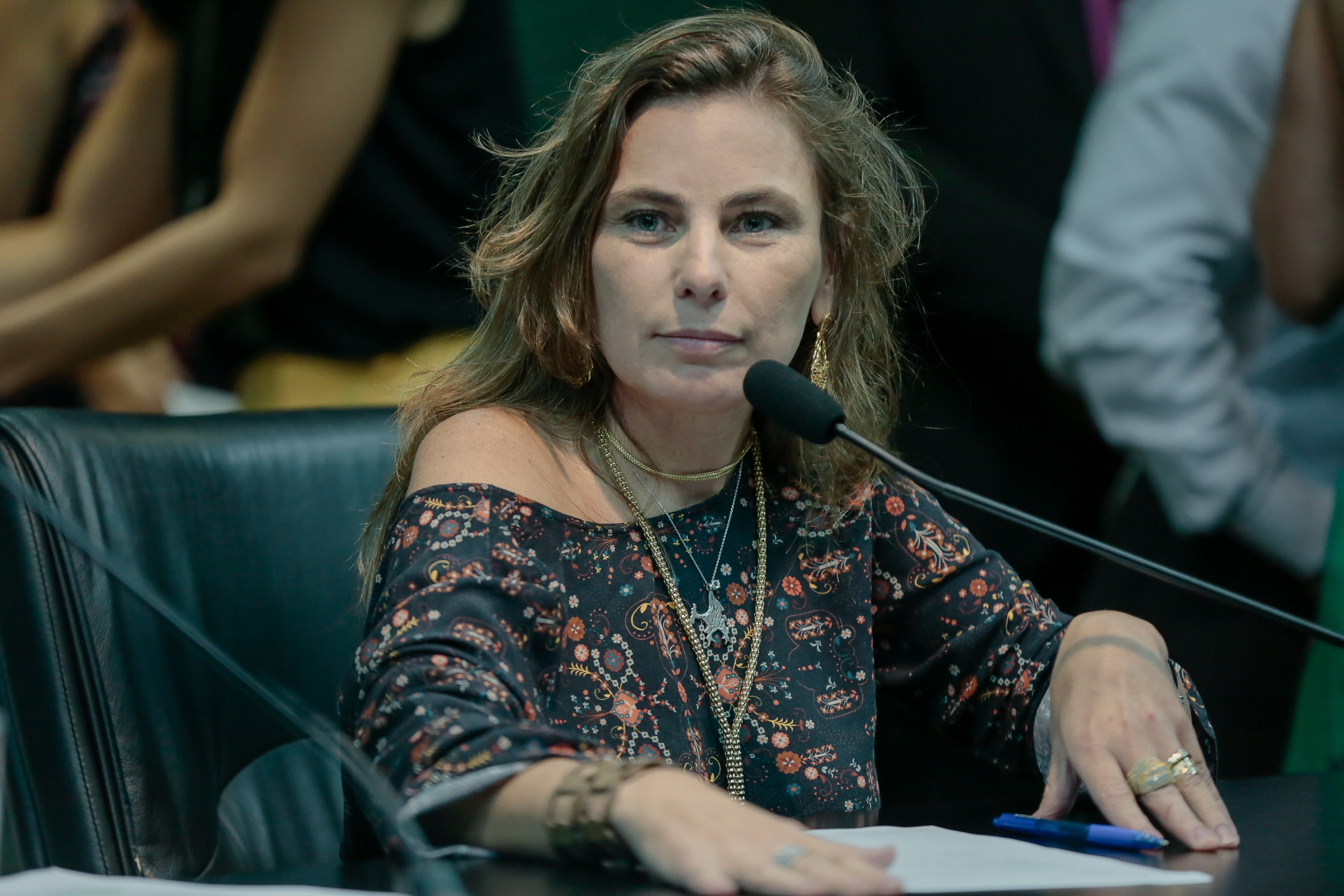 Deputada Ana Paula da Silva (PDT)