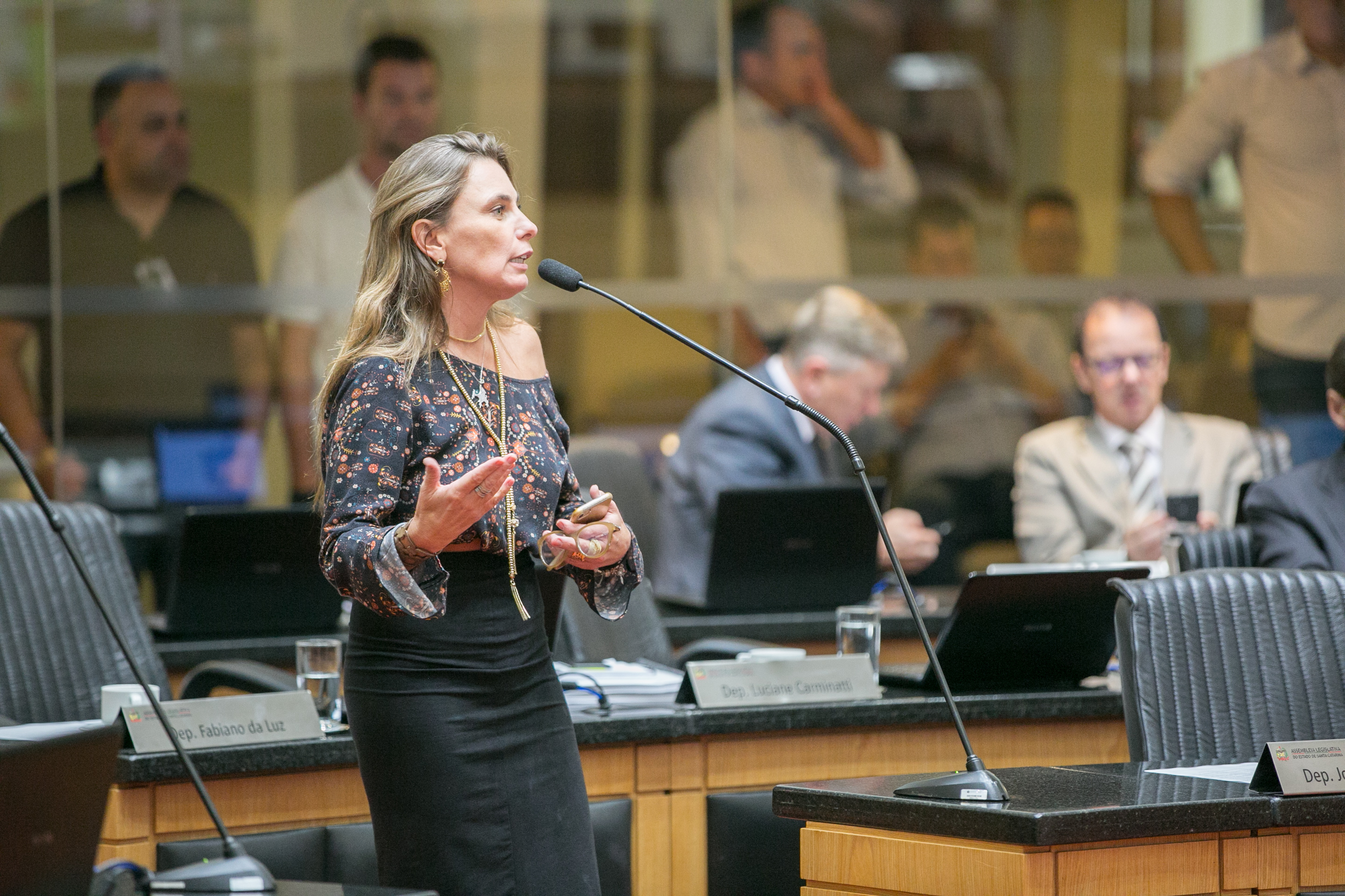 Deputada Paulinha (PDT)