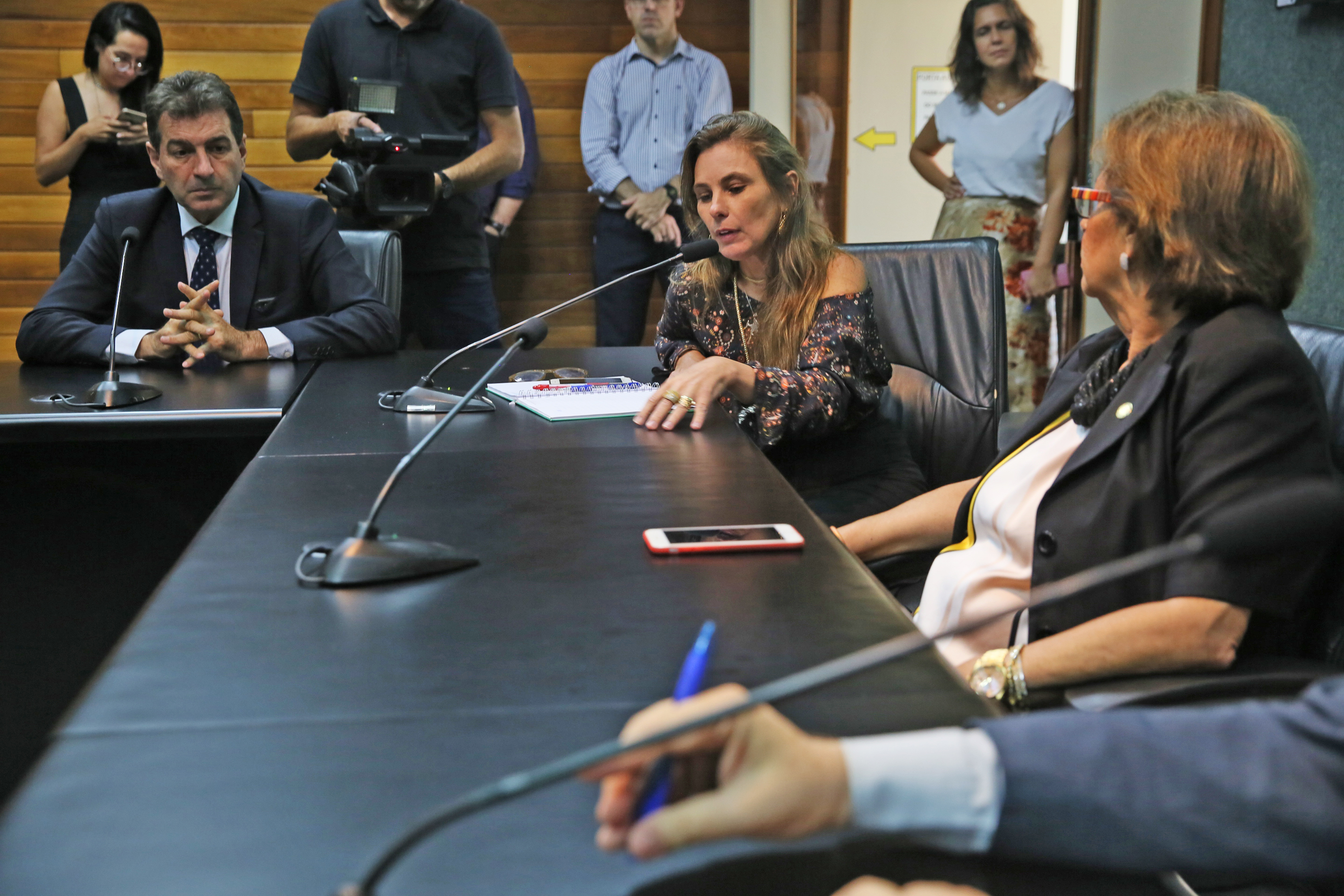 INSTALAÇÃO DAS COMISSÕES - Comissão de Segurança Pública é Instalada