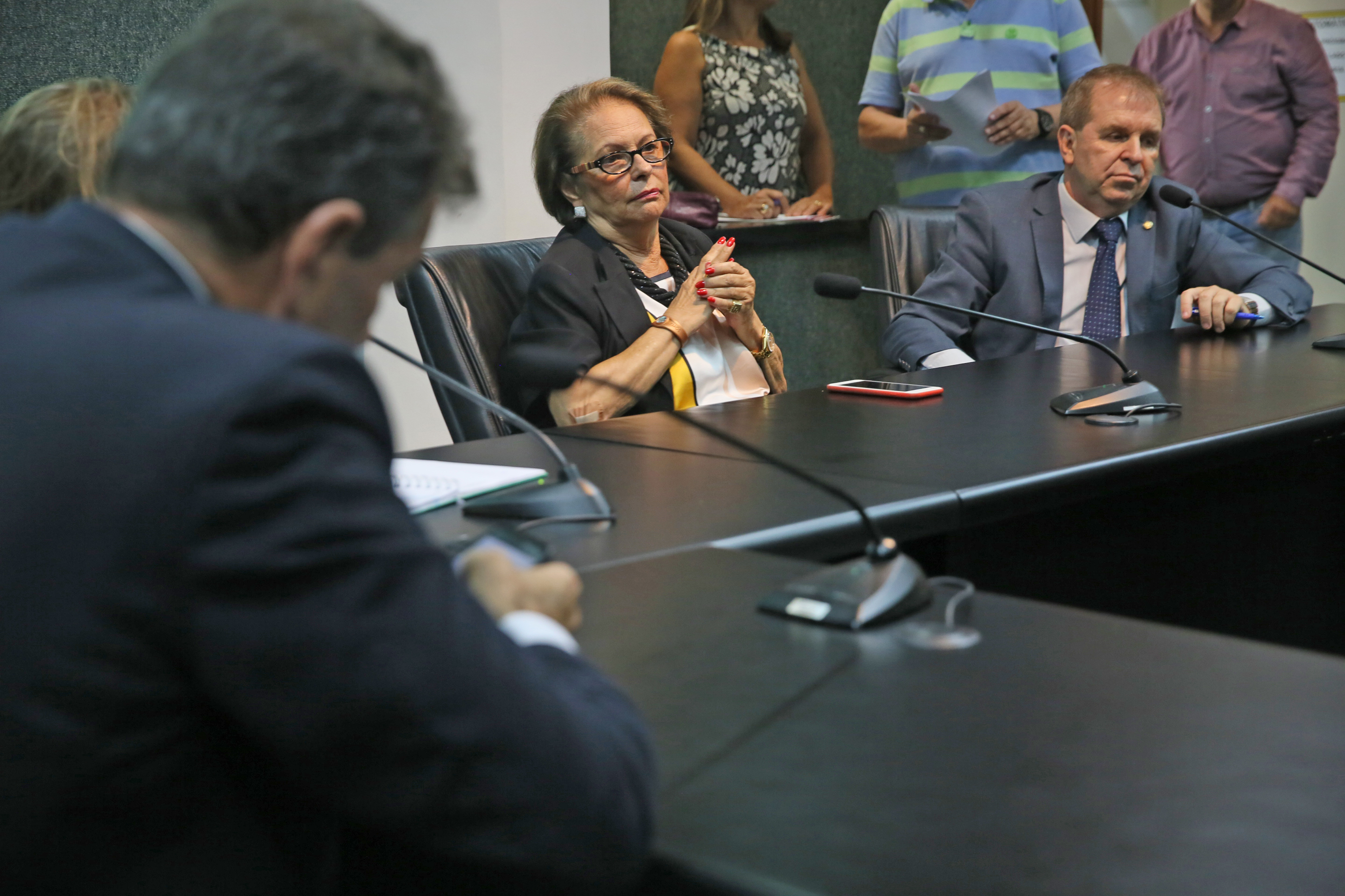 INSTALAÇÃO DAS COMISSÕES - Comissão de Segurança Pública é Instalada