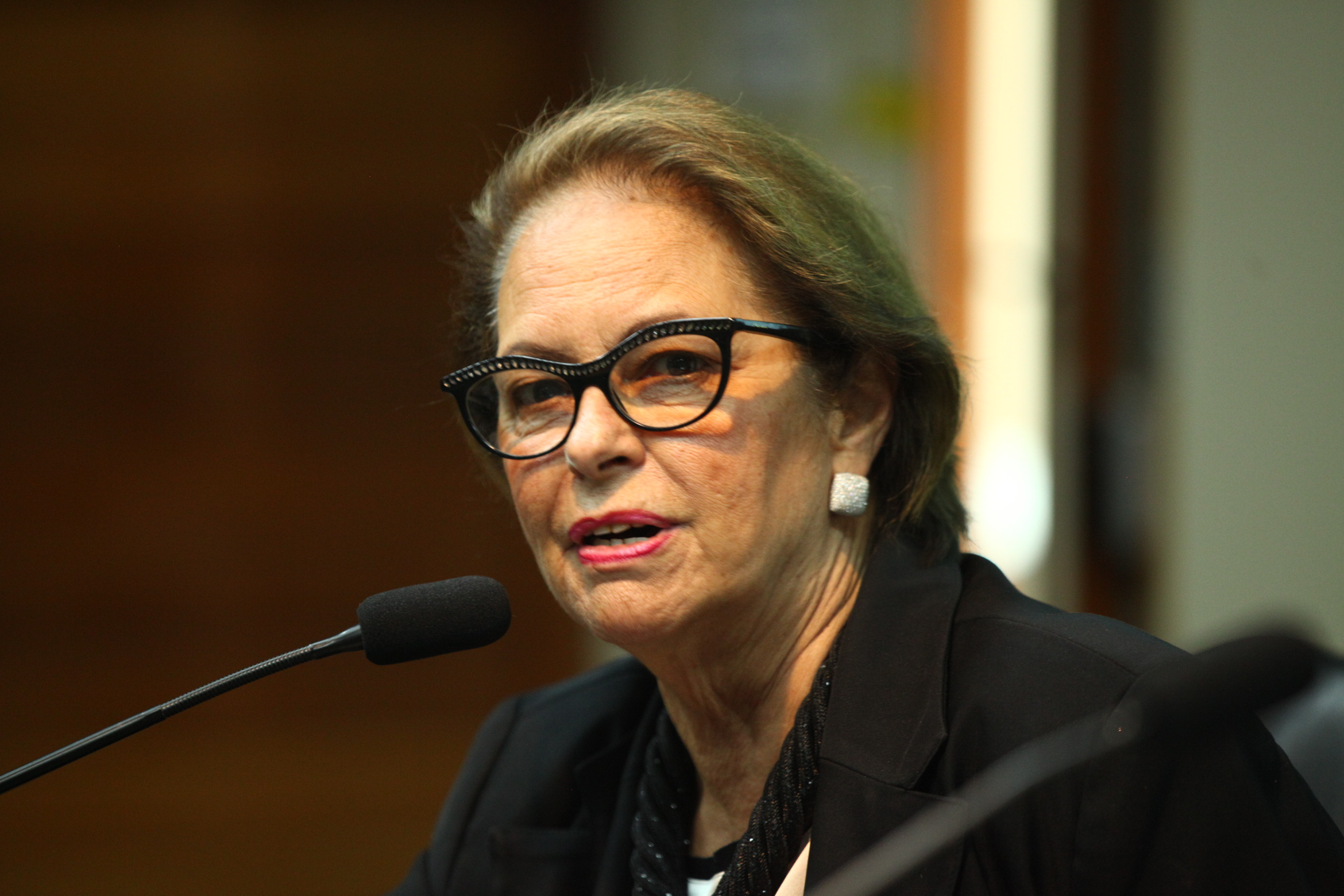 Instalação da Comissões - Deputada Ada Faraco de Luca (PMDB)   Foto: Solon Soares
