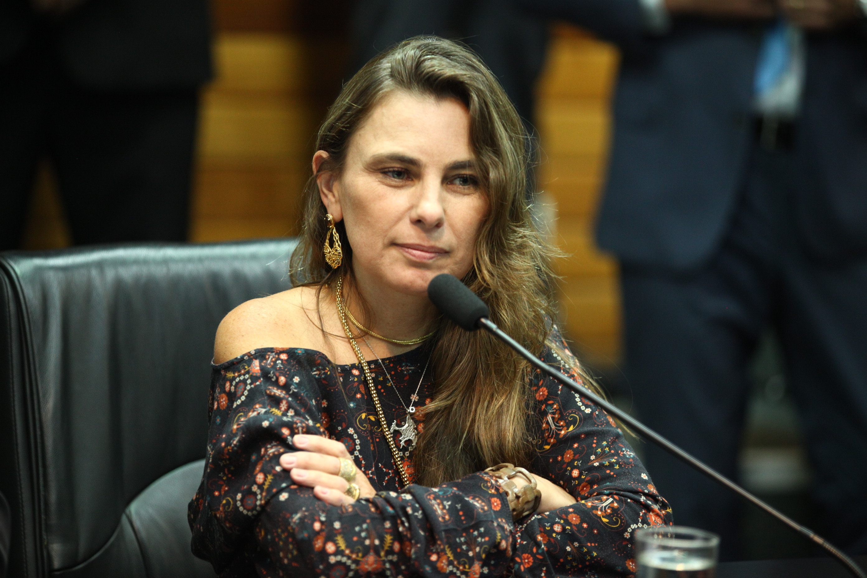 Instalação da Comissões - Deputada Ana Paula da Silva (PDT)   Foto: Solon Soares