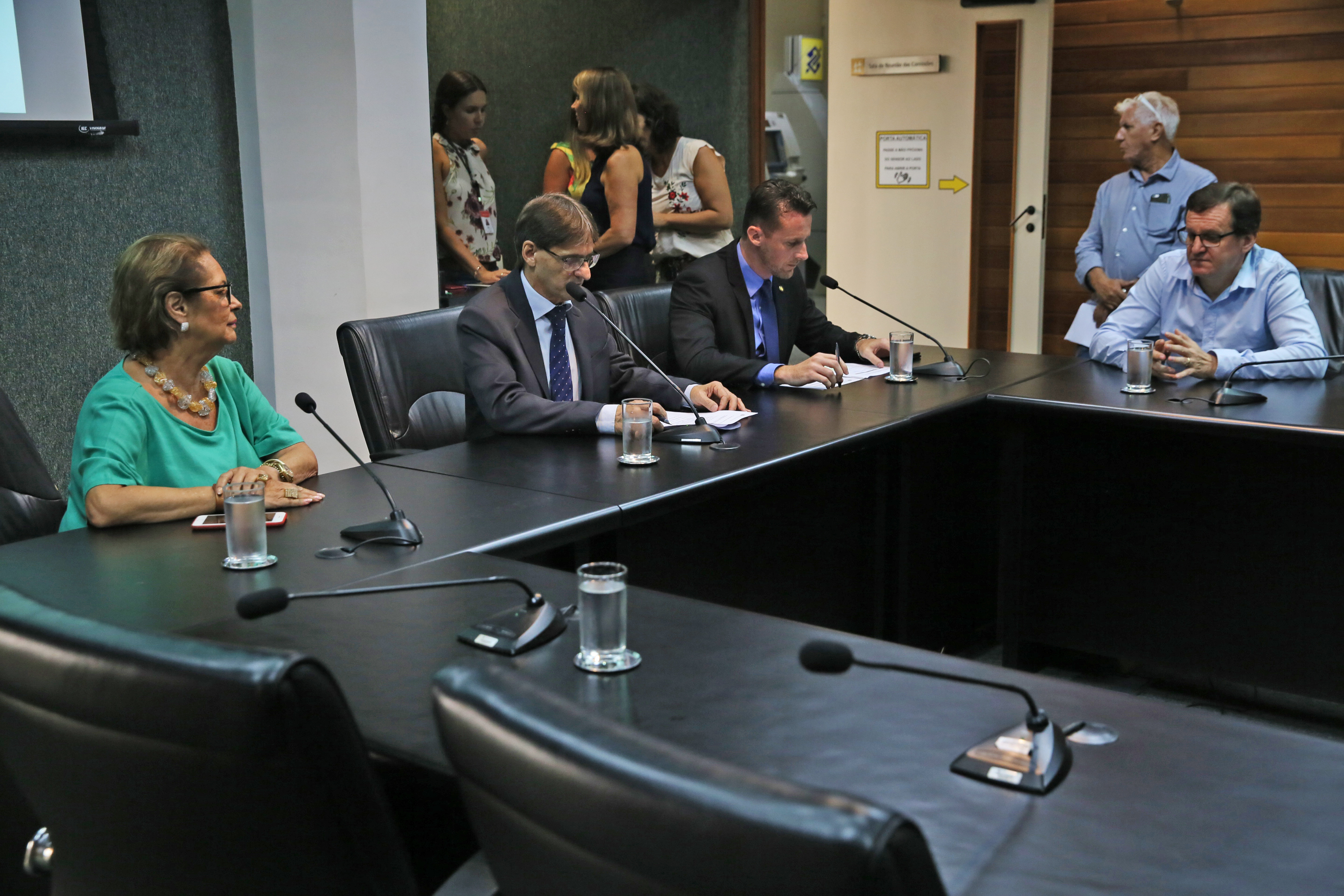 INSTALAÇÃO DAS COMISSÕES - Comissão do Mercosul é Instalada.