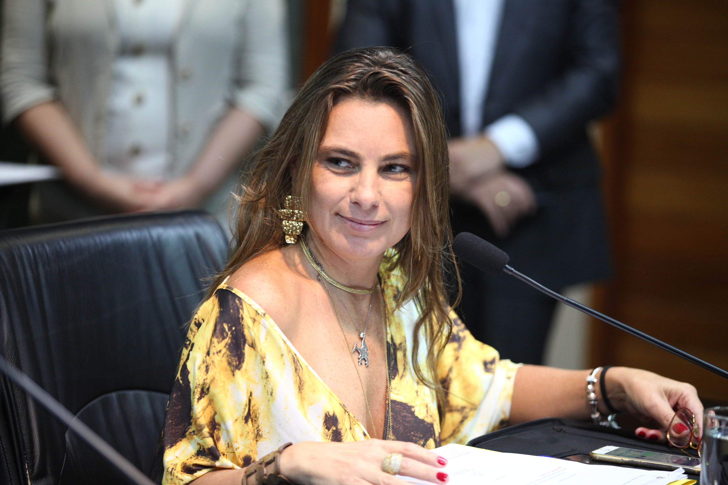INSTALAÇÃO DAS COMISSÕES - Comissão de Pesca é Instalada. Deputada Ana Paula da Silva (PDT)