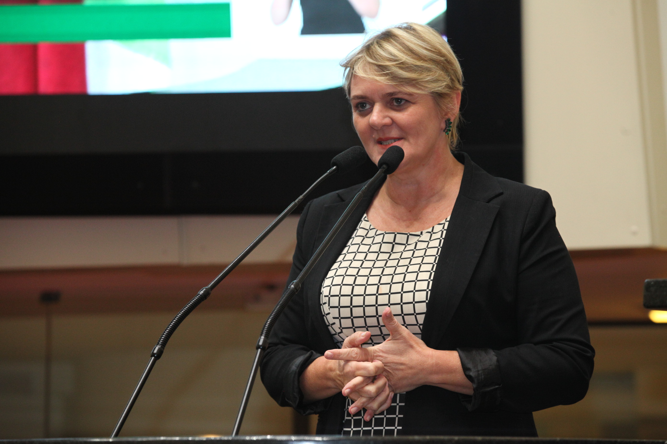 Sessão Ordinária em 27/02/2019 - Deputada Luciane Carminatti (PT)