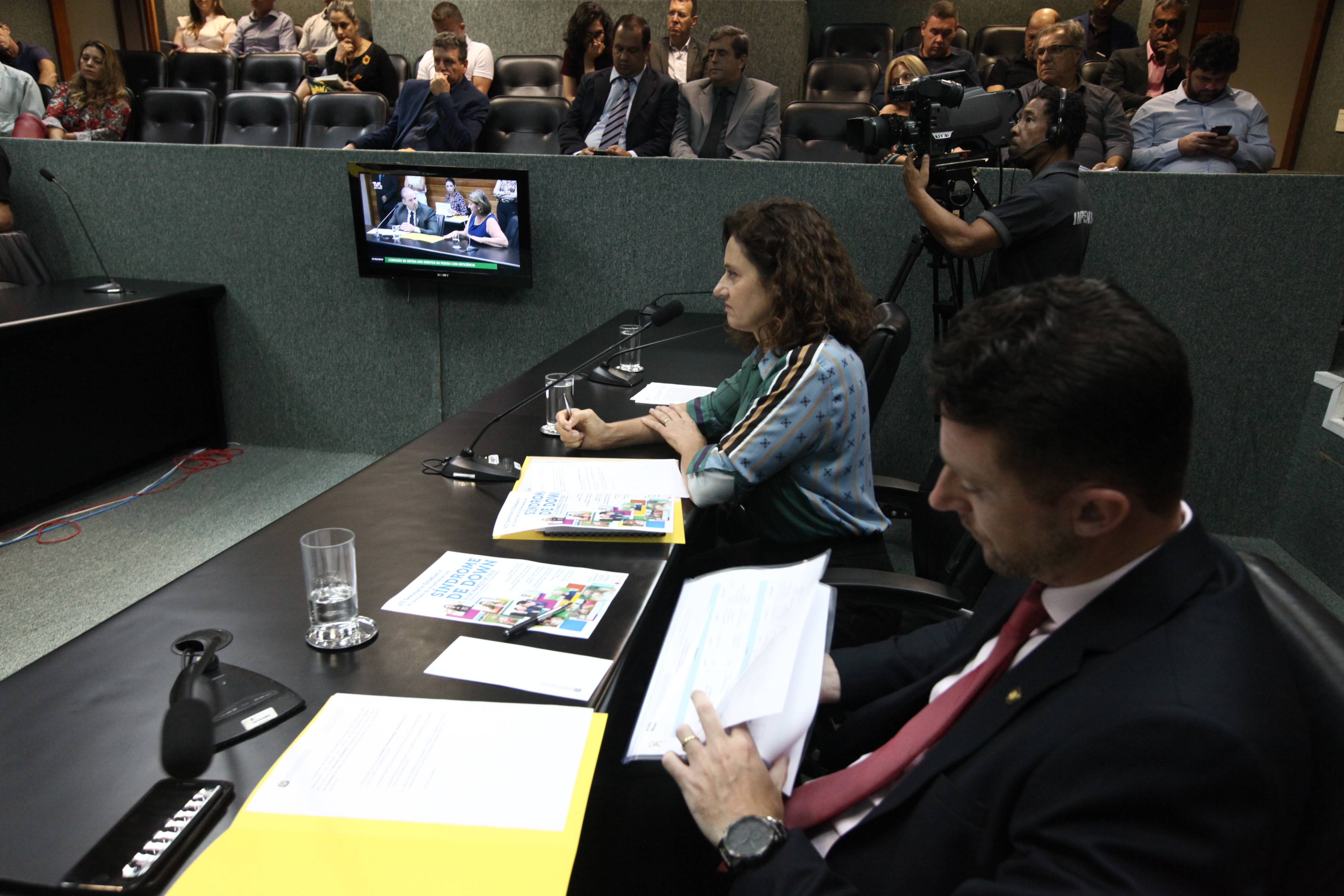 REUNIÃO - Comissão de Defesa dos Direitos da Pessoa Com Deficiência.