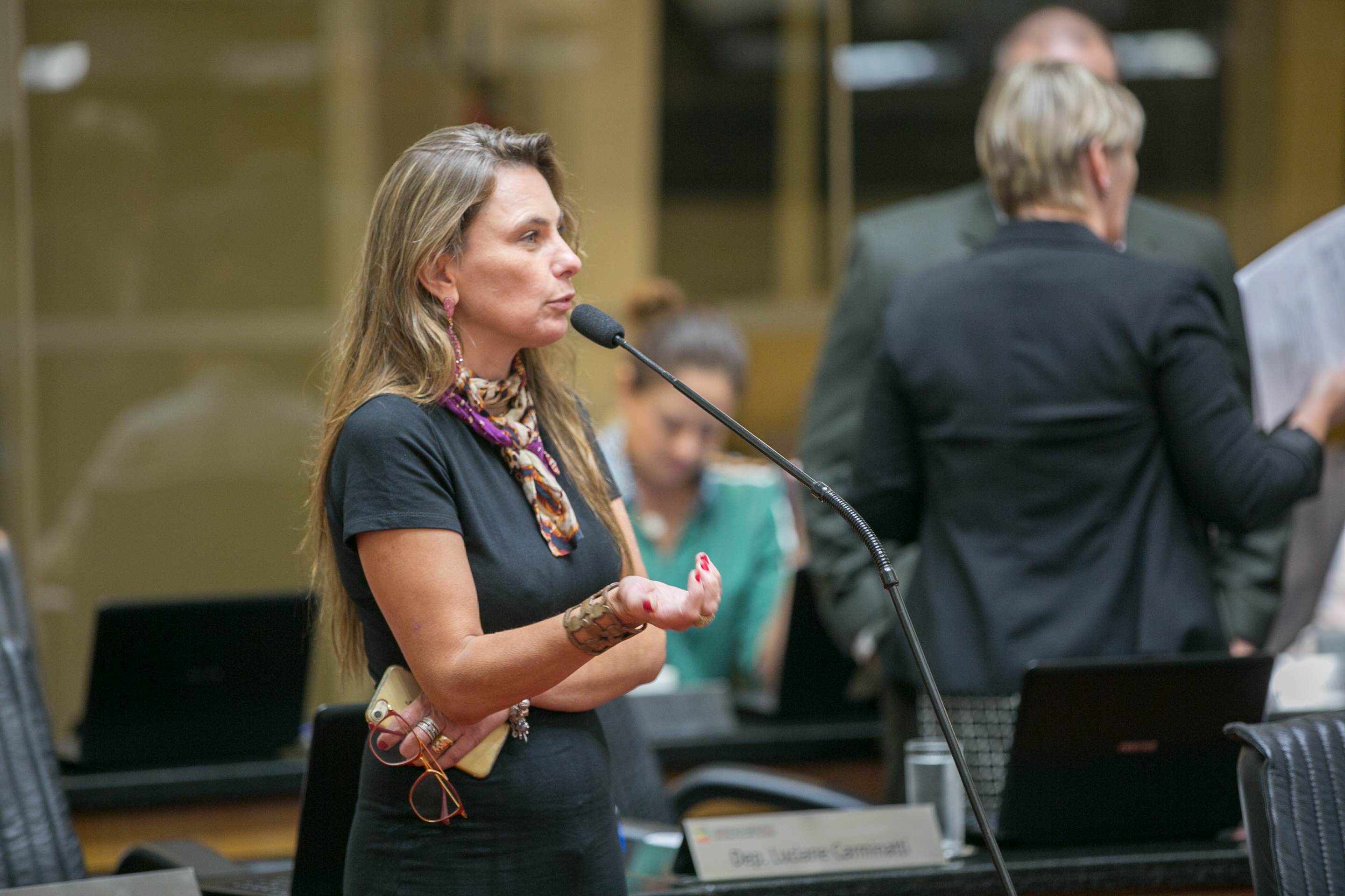 Deputada Paulinha (PDT)