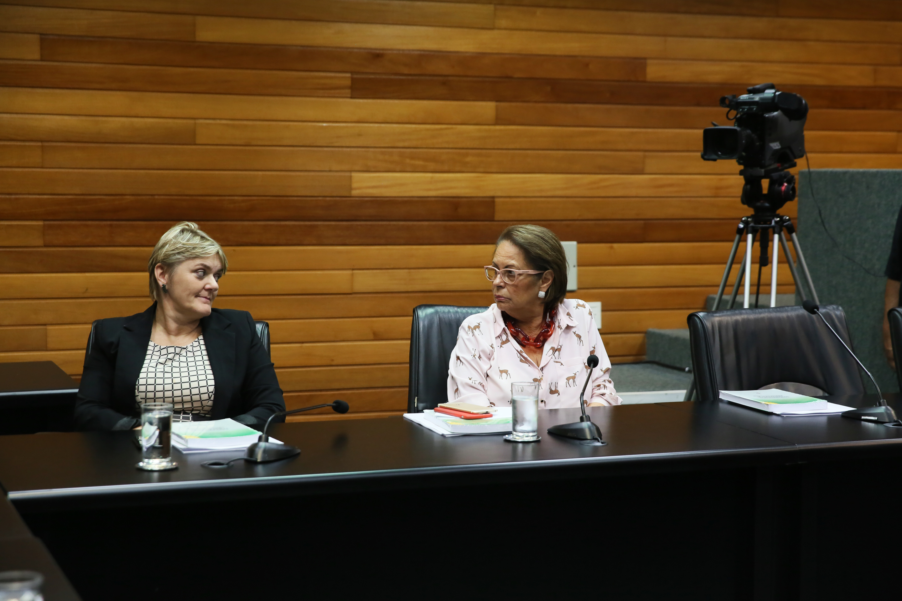 REUNIÃO - Comissão de Prevenção e Combate às Drogas.