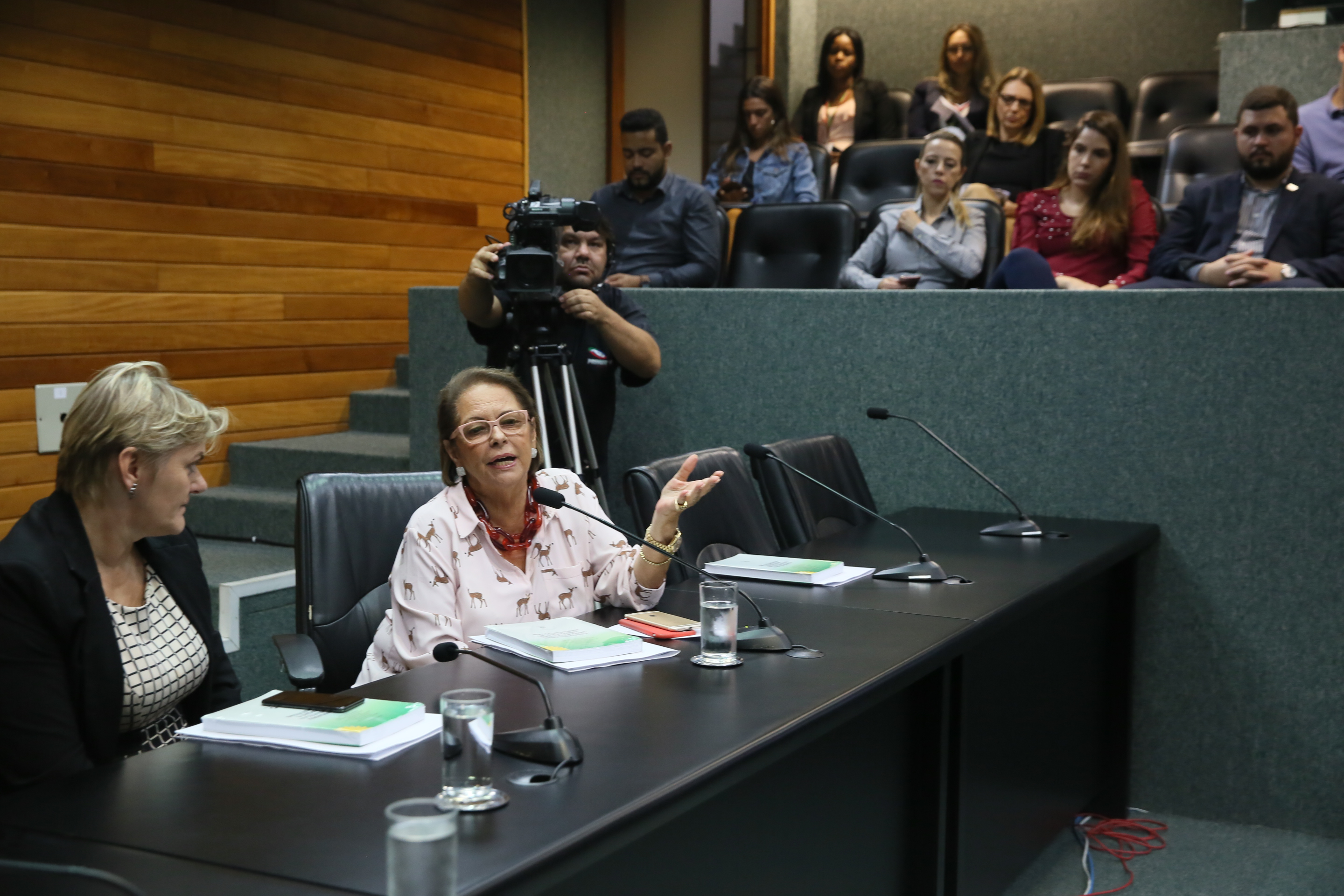 REUNIÃO - Comissão de Prevenção e Combate às Drogas.