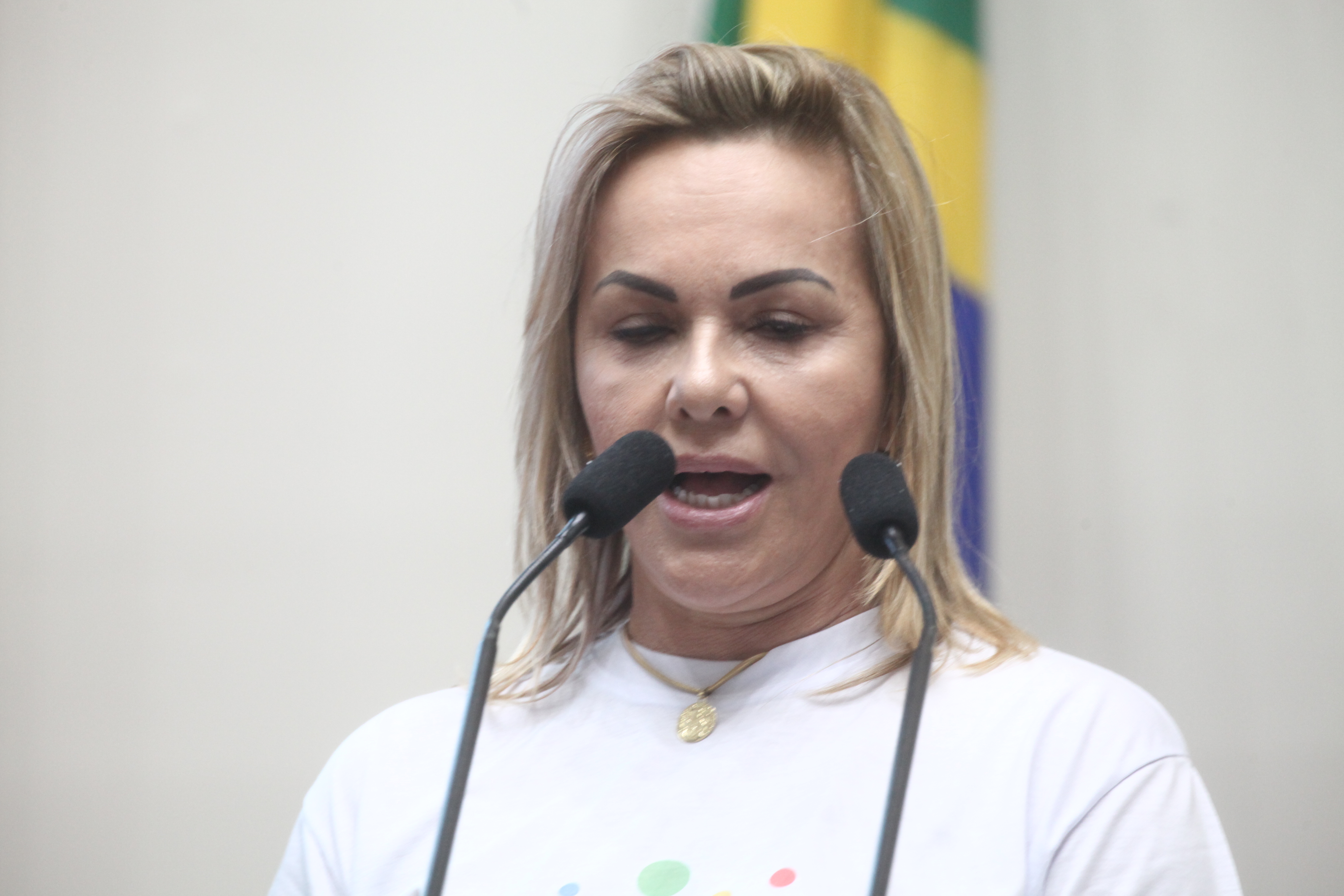Sessão Ordinária - Manhã
