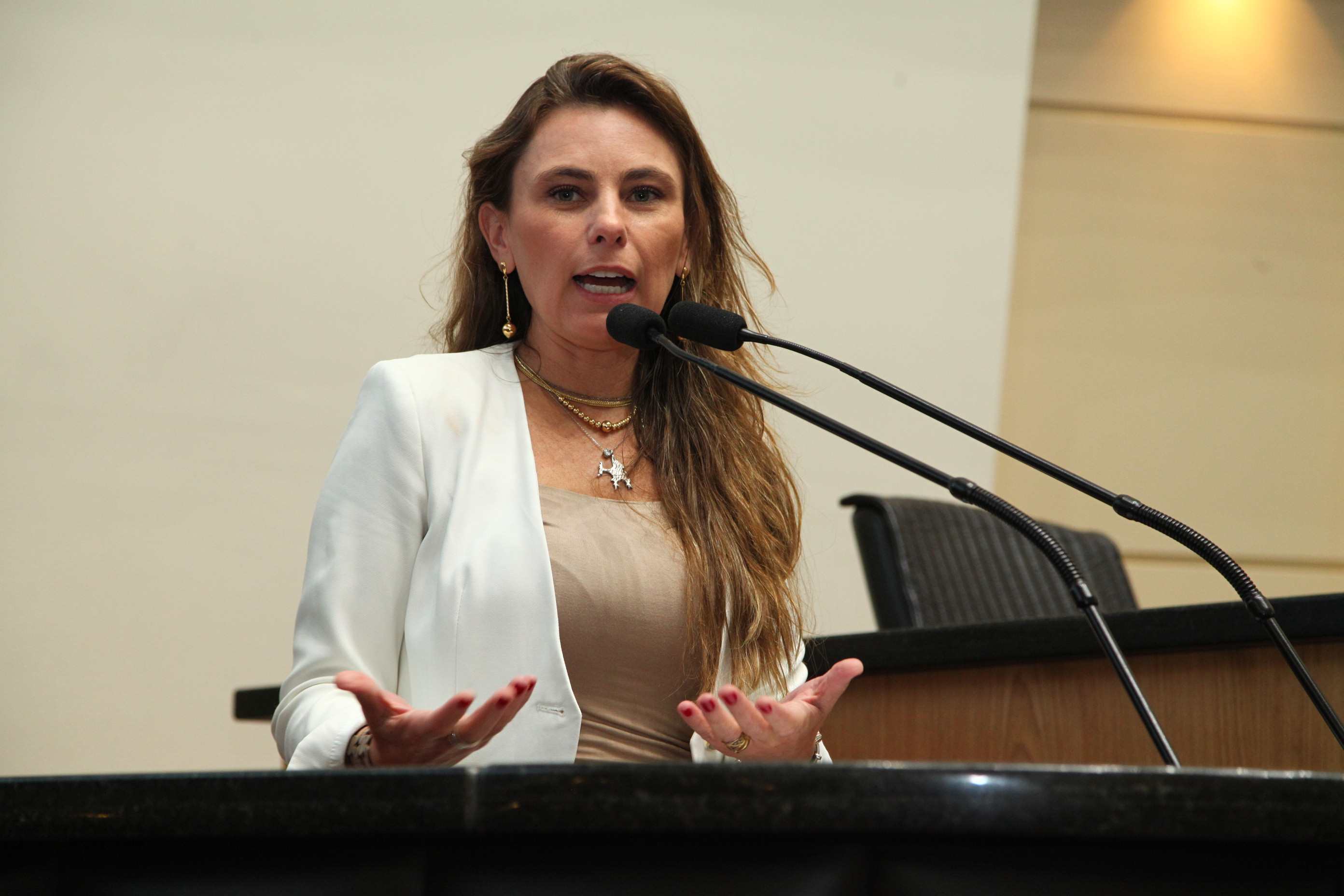 Sessão Plenária em 28/02/2019