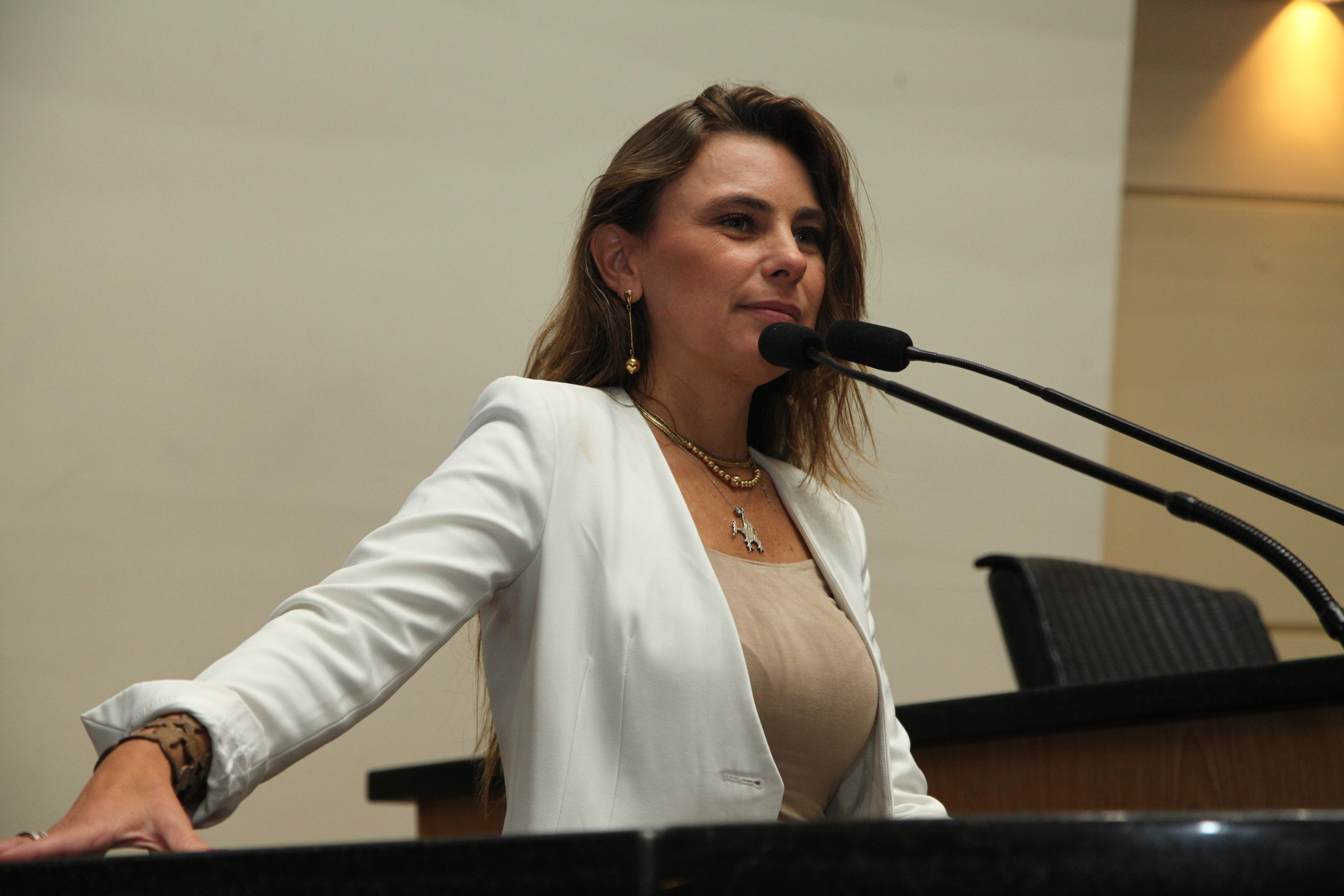 Sessão Plenária em 28/02/2019