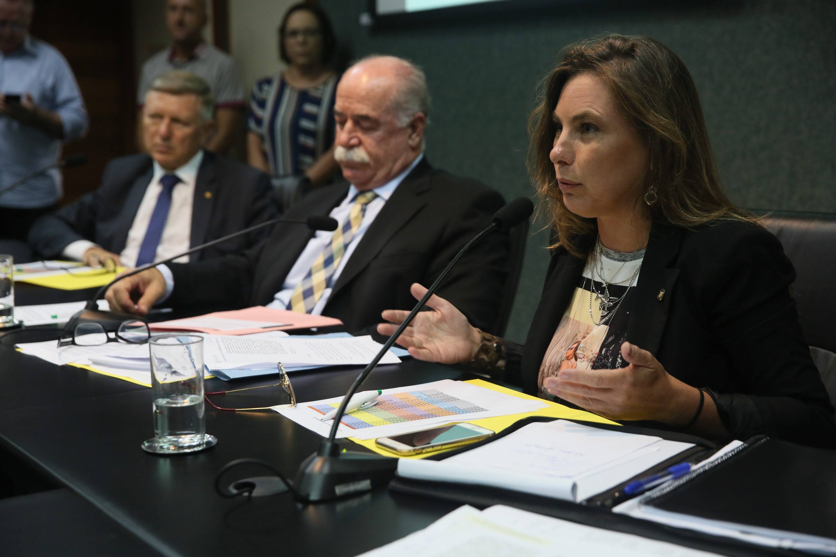 CCJ - Reunião da Comissão de Constituição e Justiça.