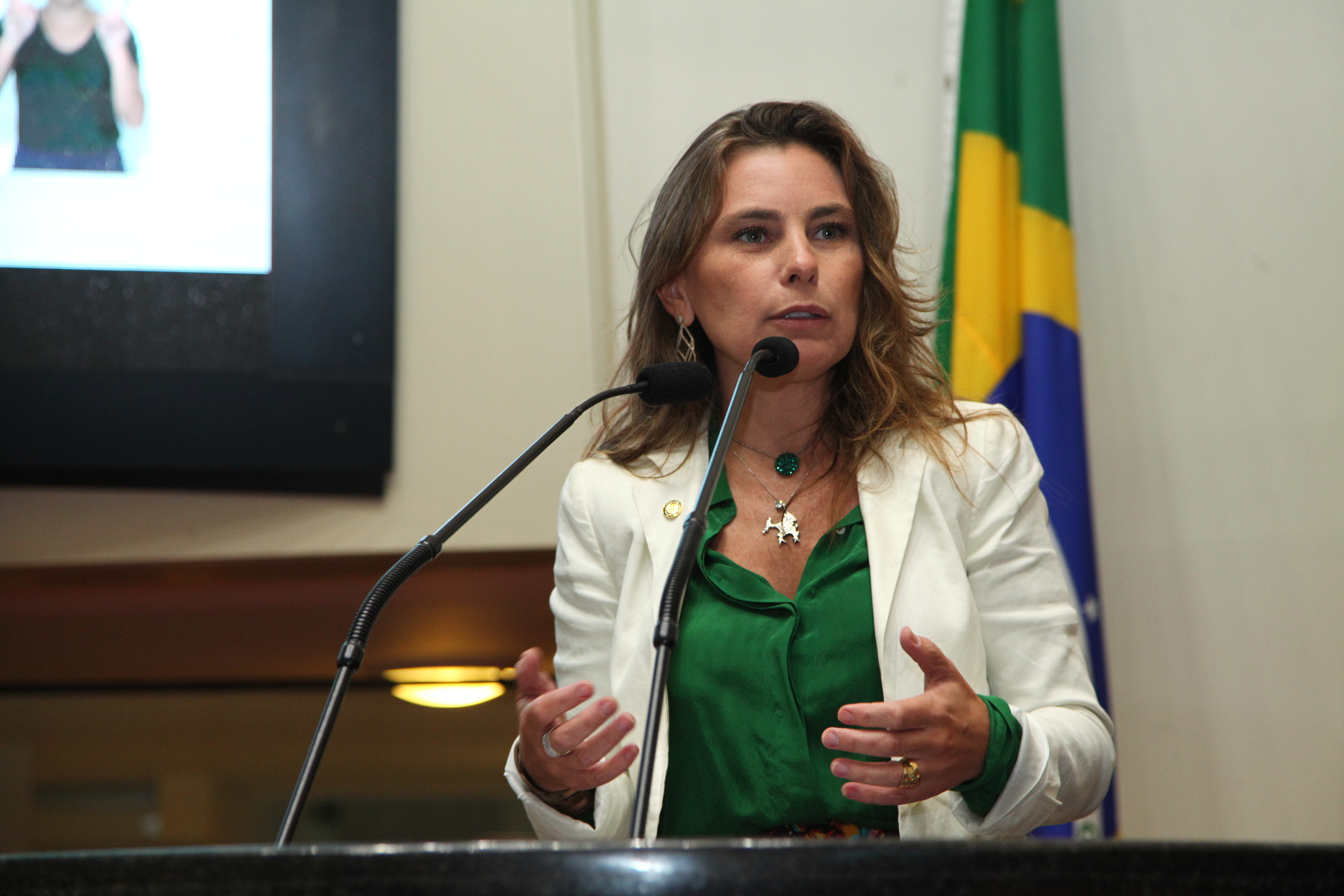 Sessão Plenária em 07/03/2019 - Deputada Ana Paula da Silva (PDT)