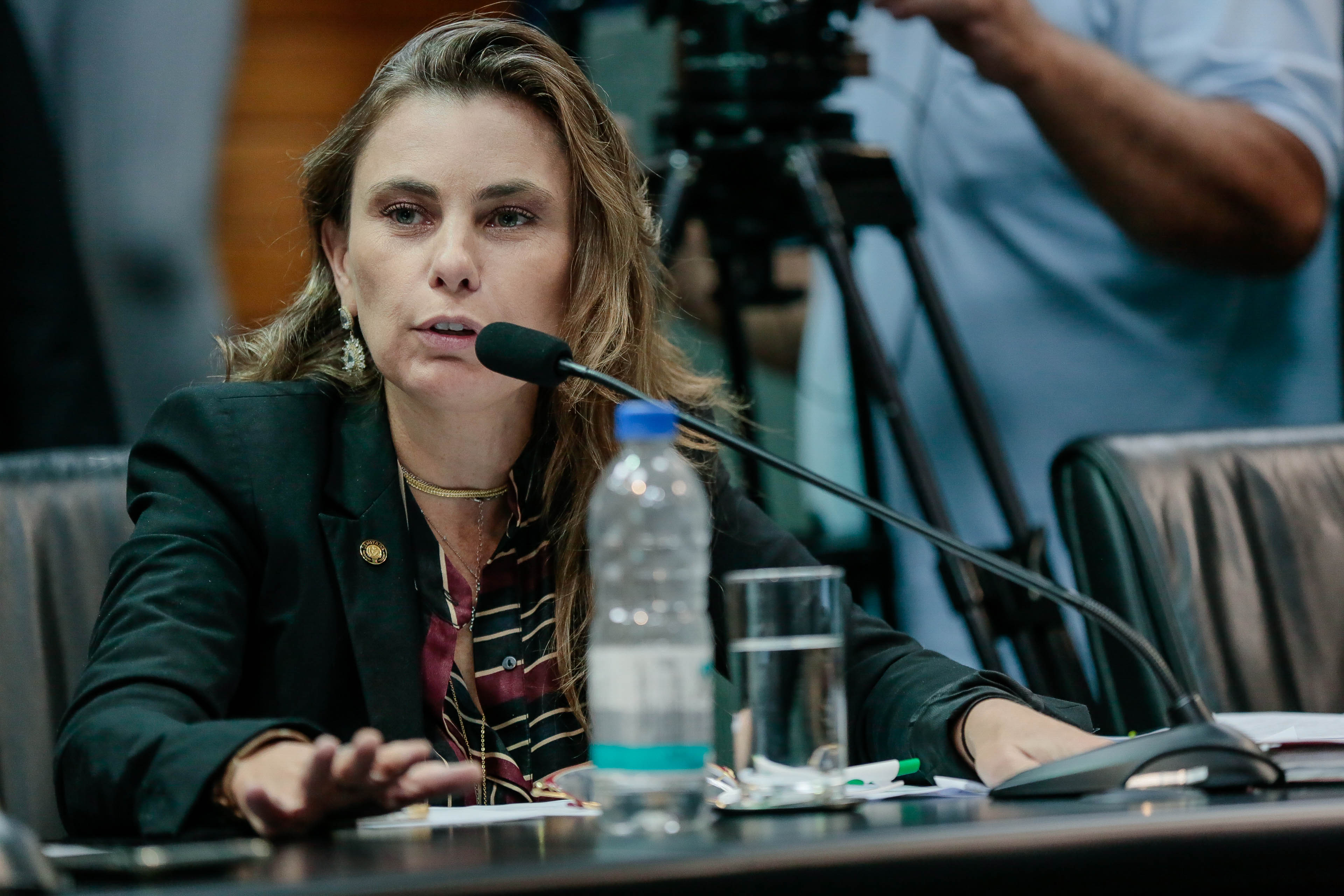 Deputada Ana Paula da Silva (PDT)