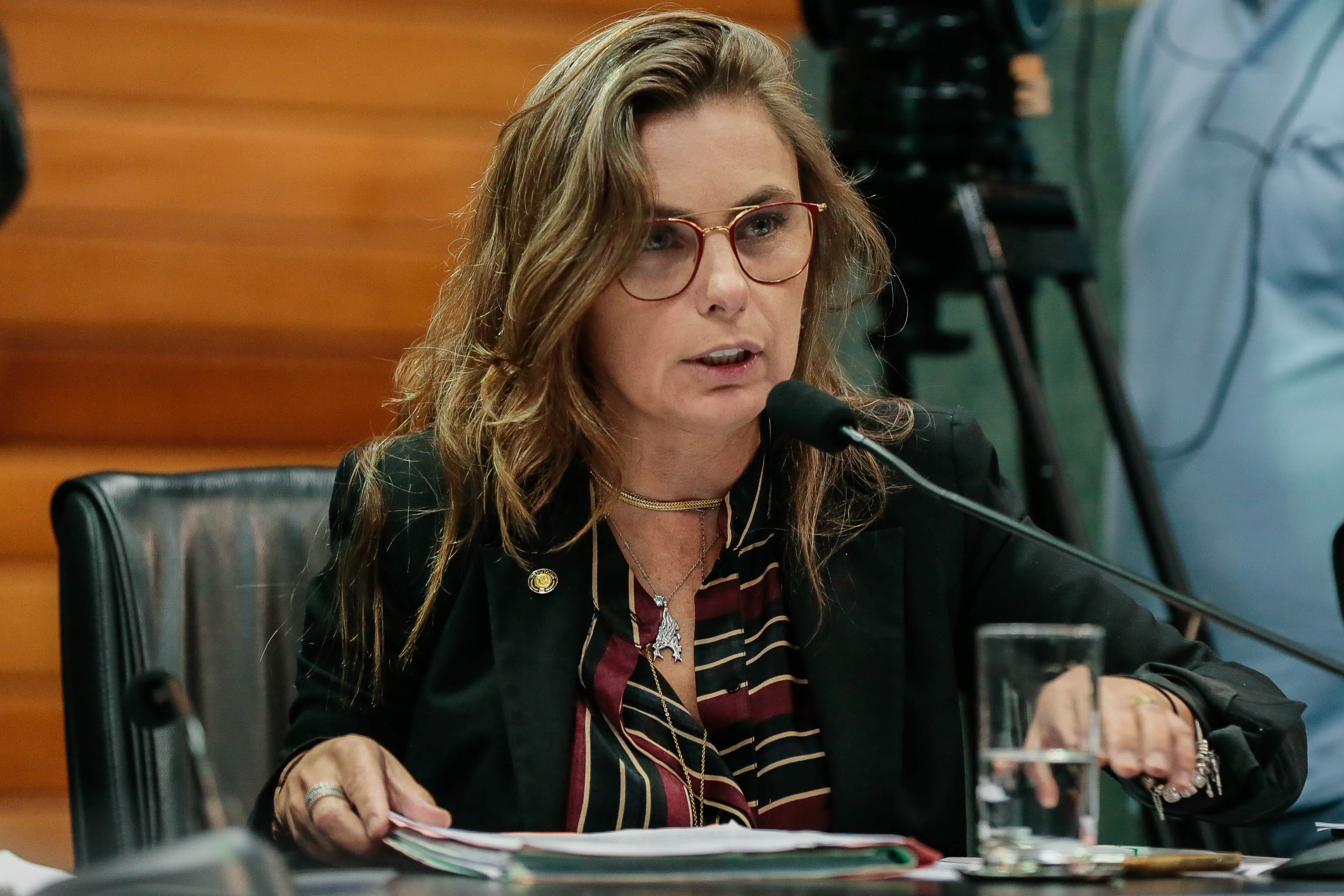 Deputada Ana Paula da Silva (PDT)