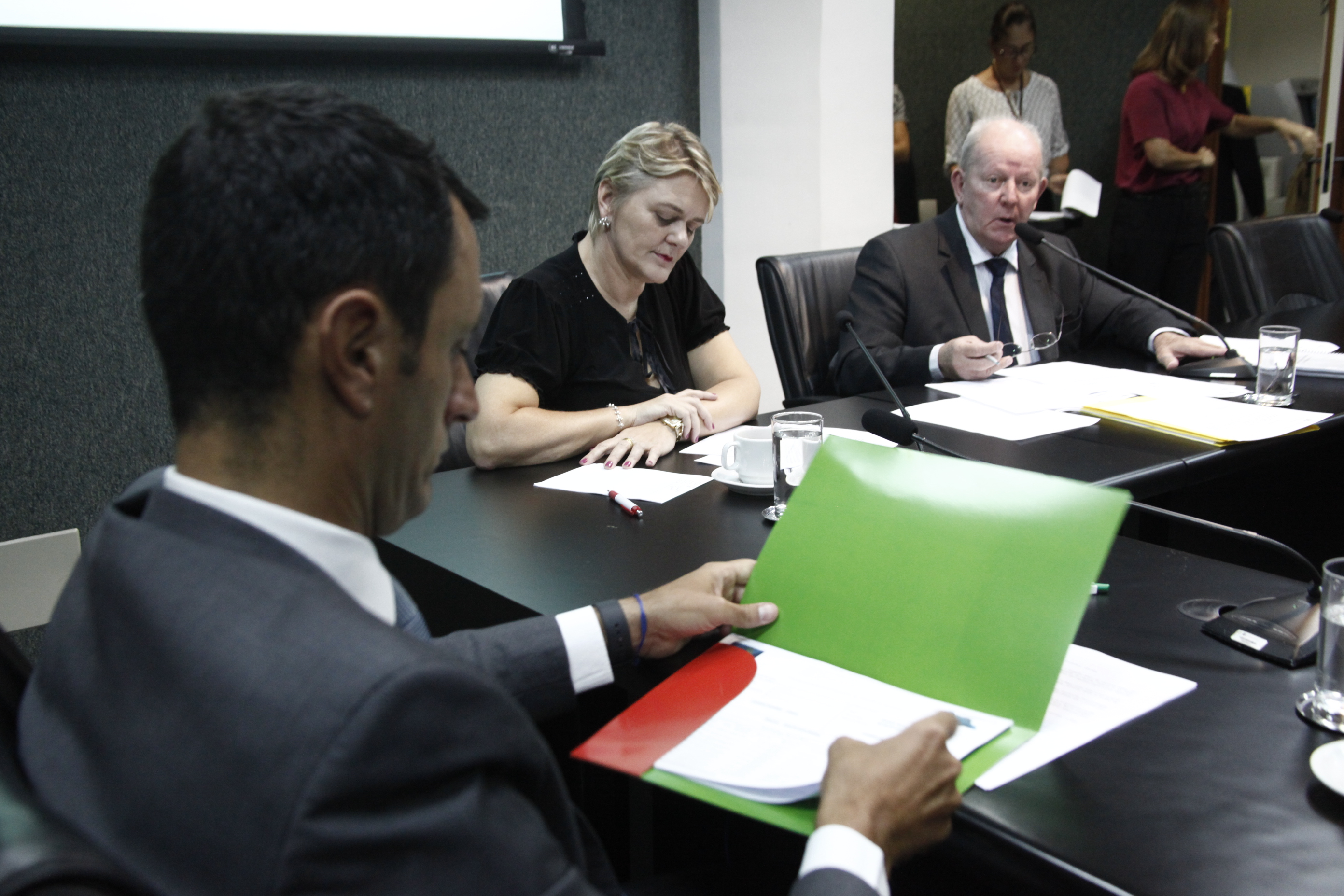 CPI da HERCÍLIO LUZ - Definição do Cronograma de Trabalho.