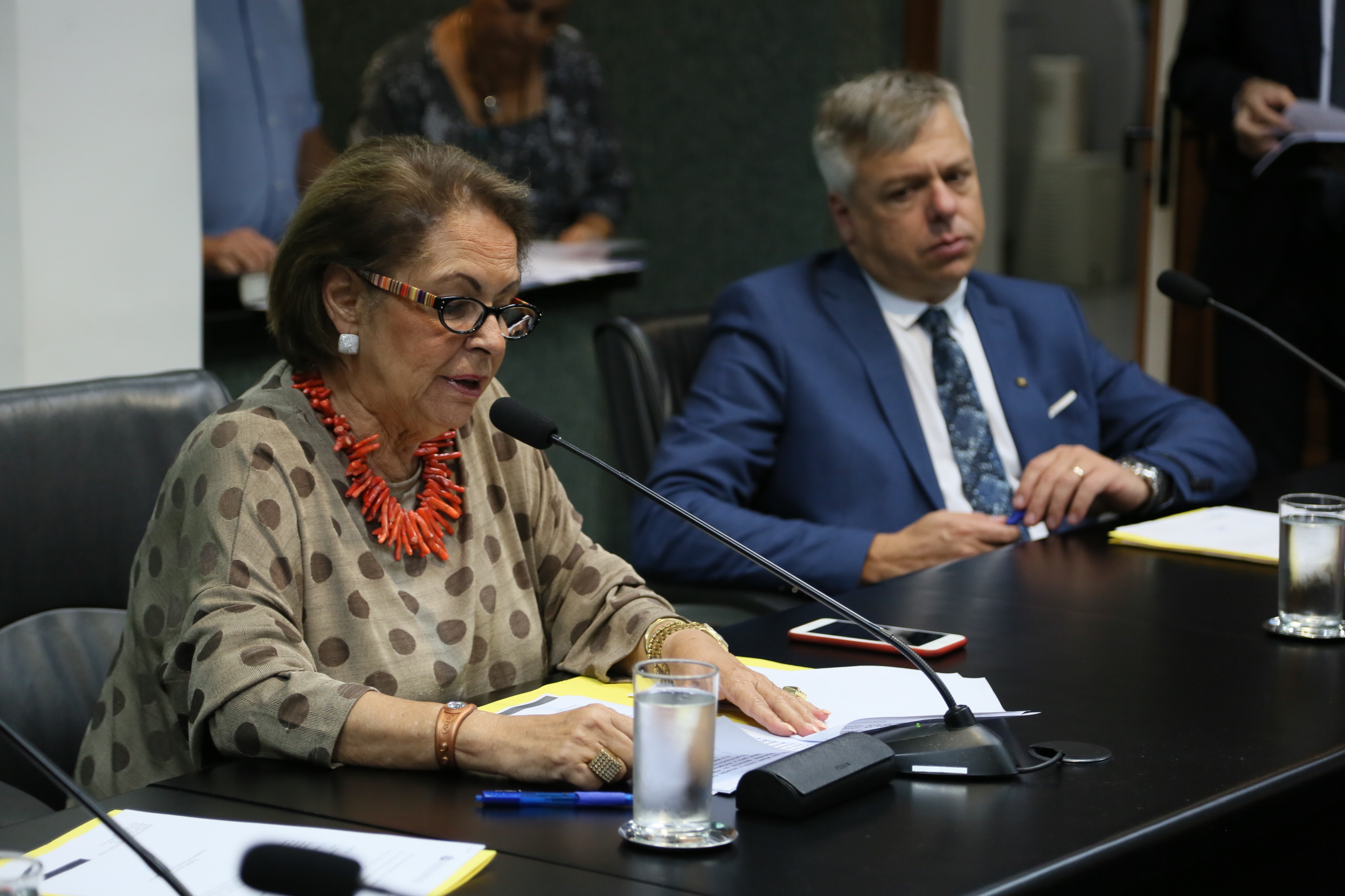 Comissão de Direitos Humanos.