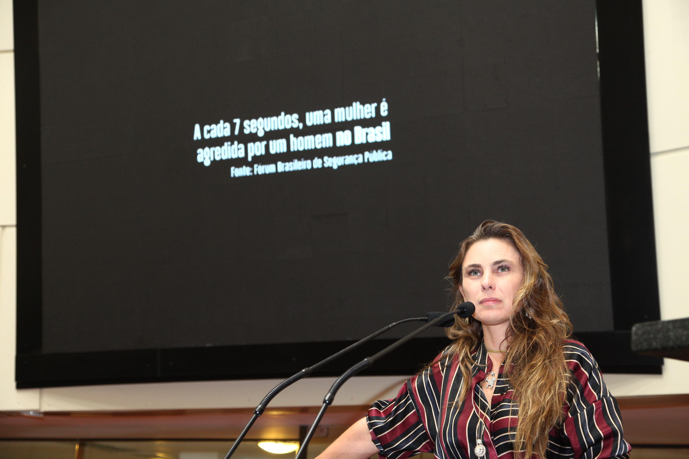 Sessão Plenária em 12/03/2019 - Deputada Ana Paula da Silva (PDT)