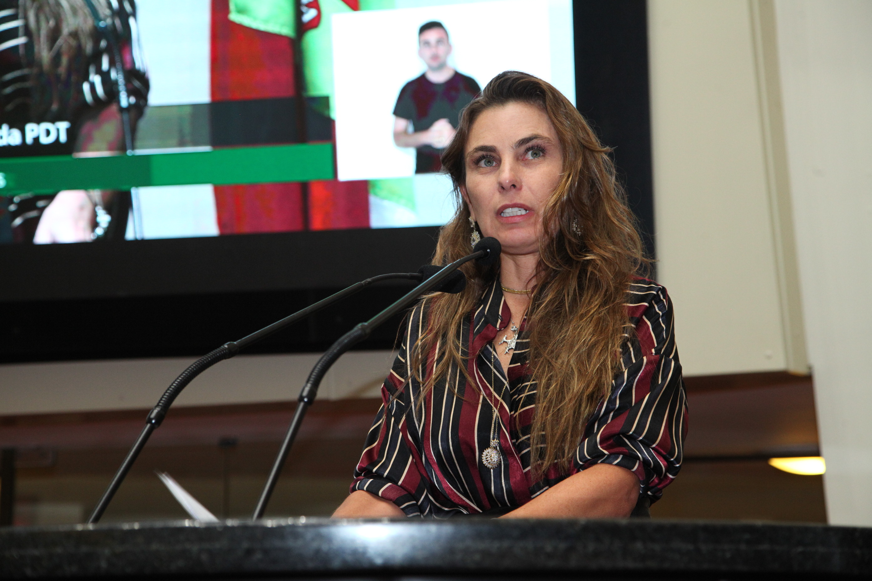 Sessão Plenária em 12/03/2019