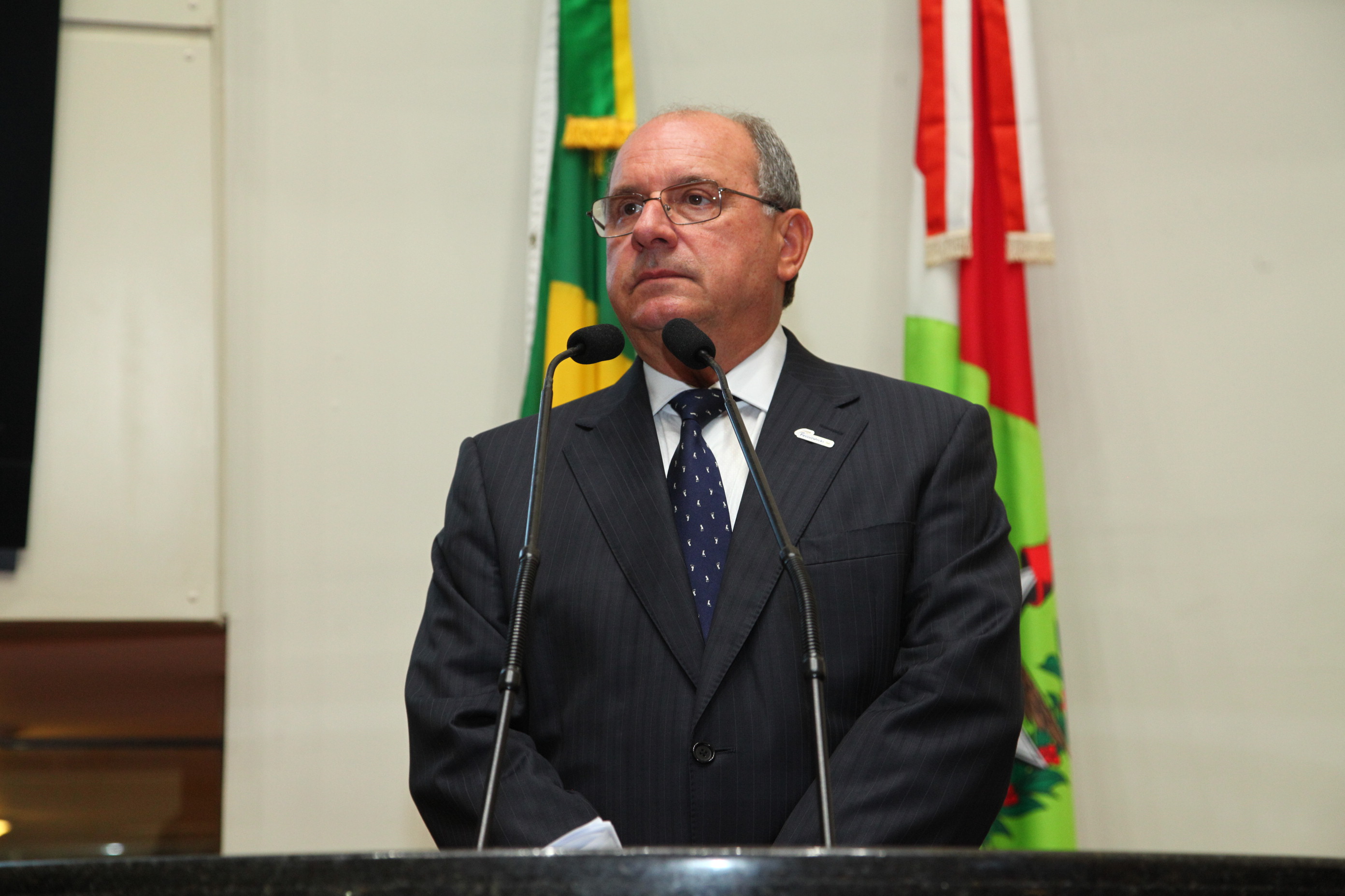 Sessão Plenária em 12/03/2019 - Bruno Breithaupt (presidente da Fecomercio)