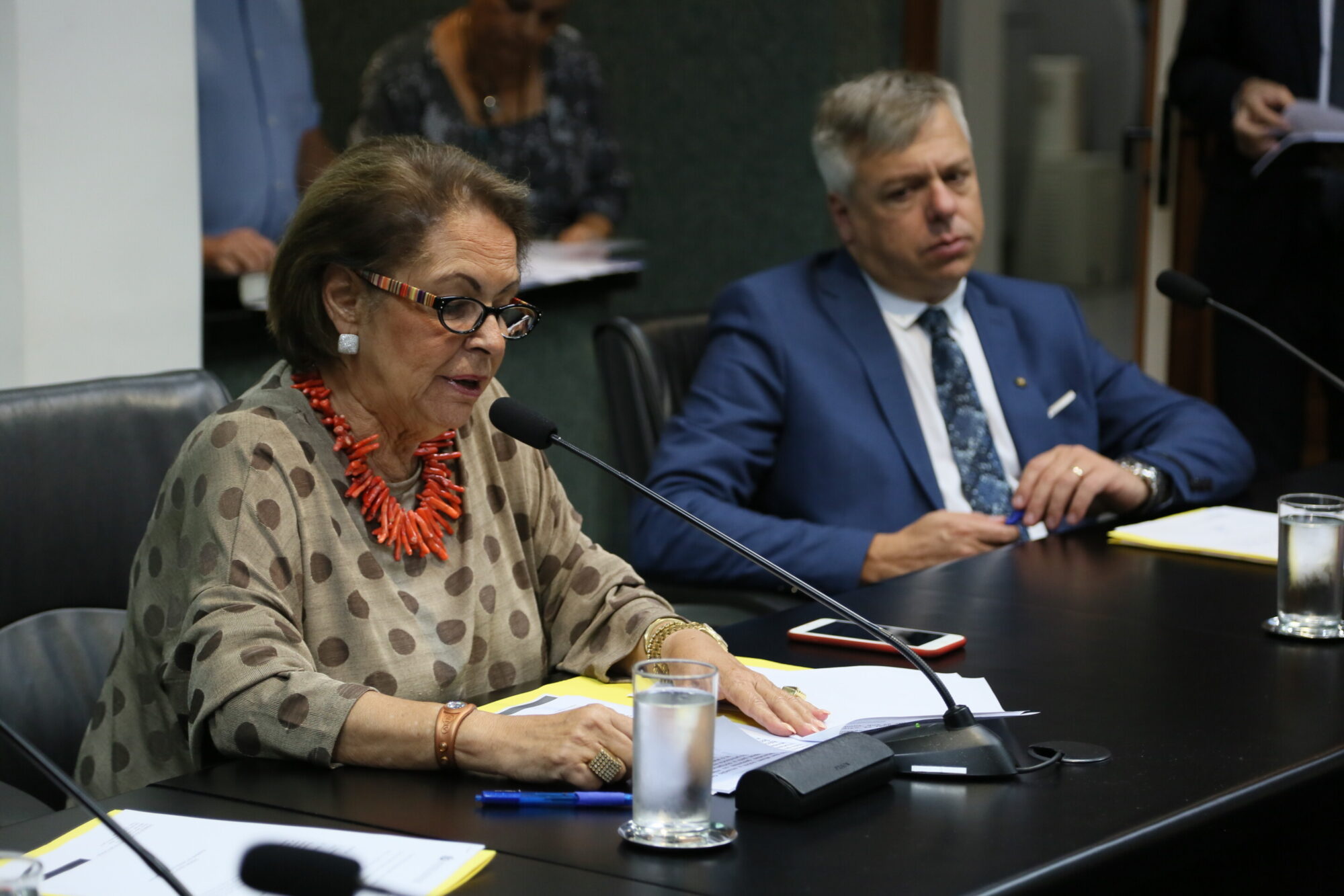 Deputada Ada de Luca no comando da Comissão de Direitos Humanos