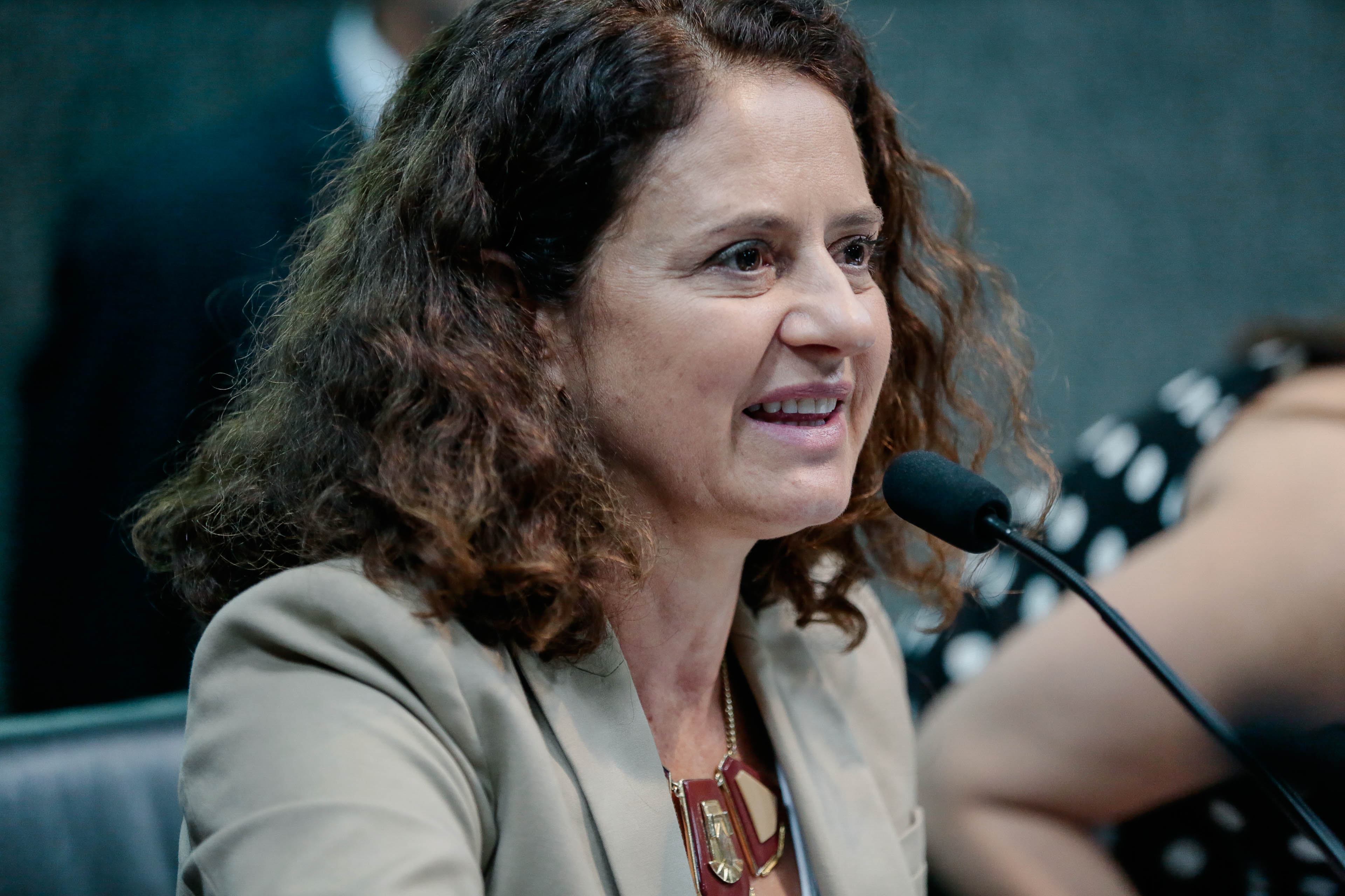 Deputada Marlene Fengler (PSD)