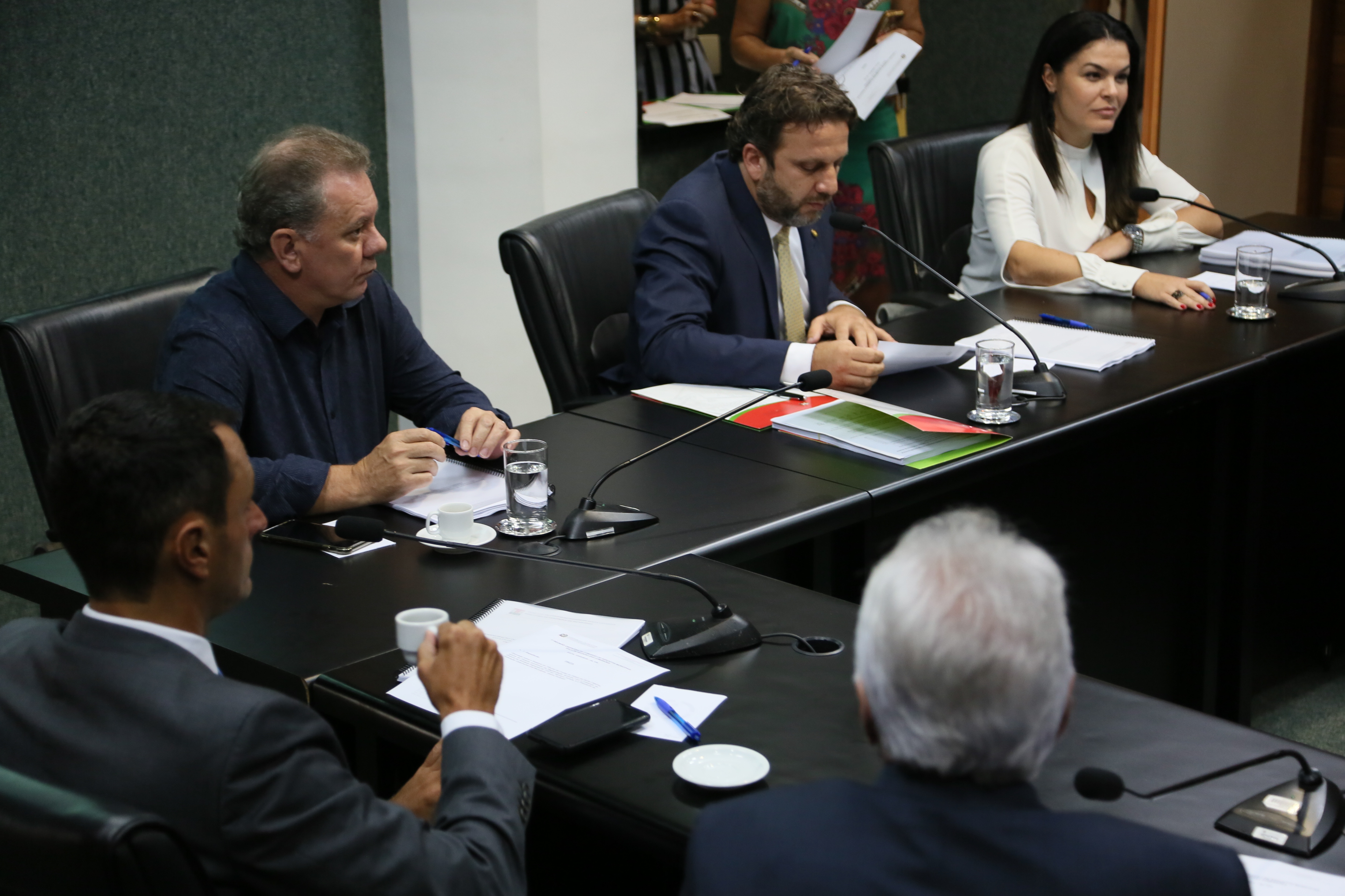 Comissão de Assuntos Municipais.