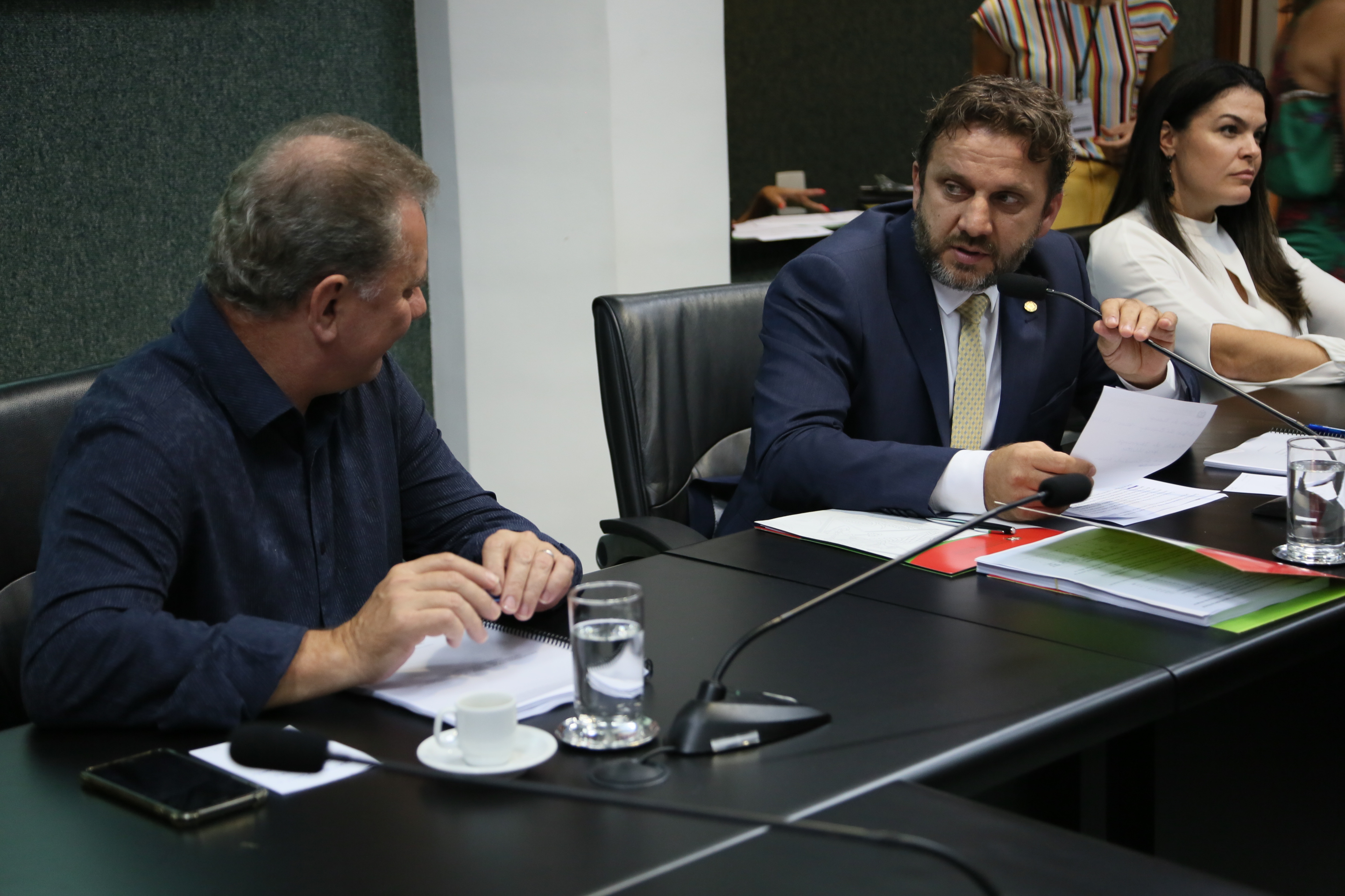 Comissão de Assuntos Municipais.