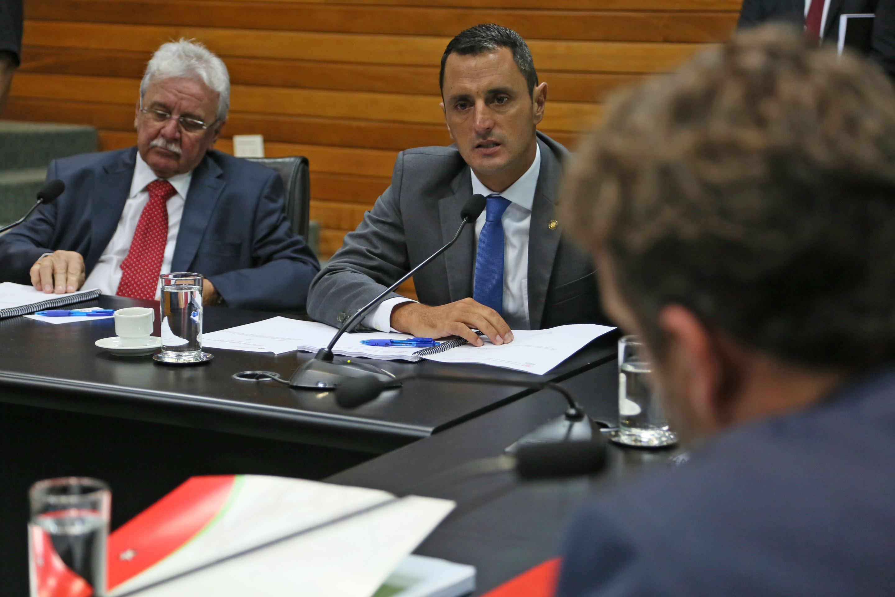 Comissão de Assuntos Municipais.