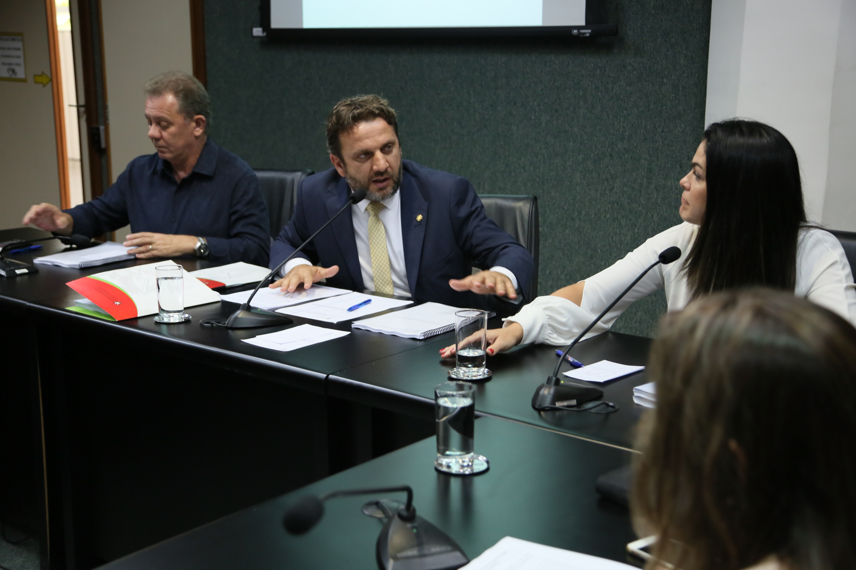 Comissão de Assuntos Municipais.