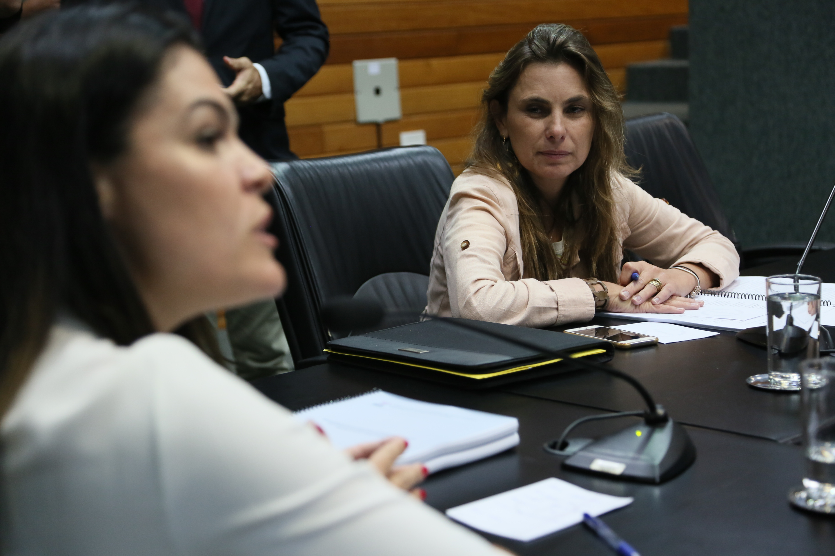 Comissão de Assuntos Municipais.