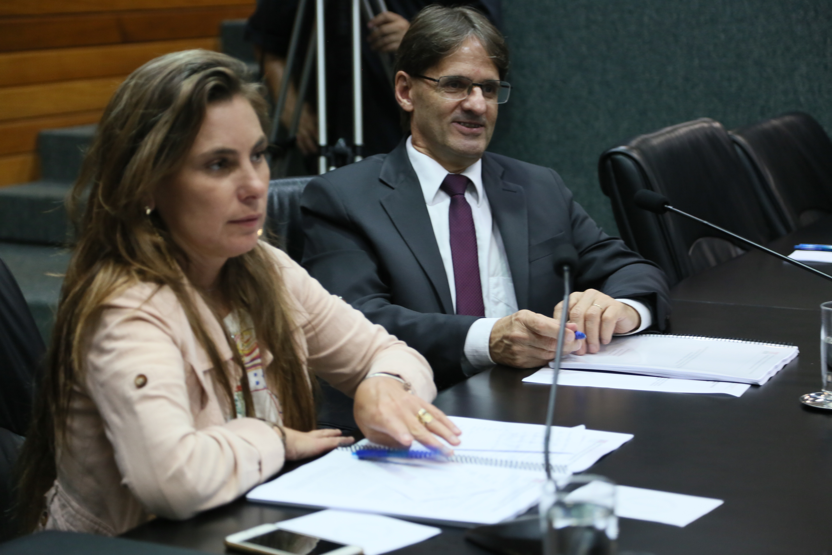 Comissão de Assuntos Municipais.