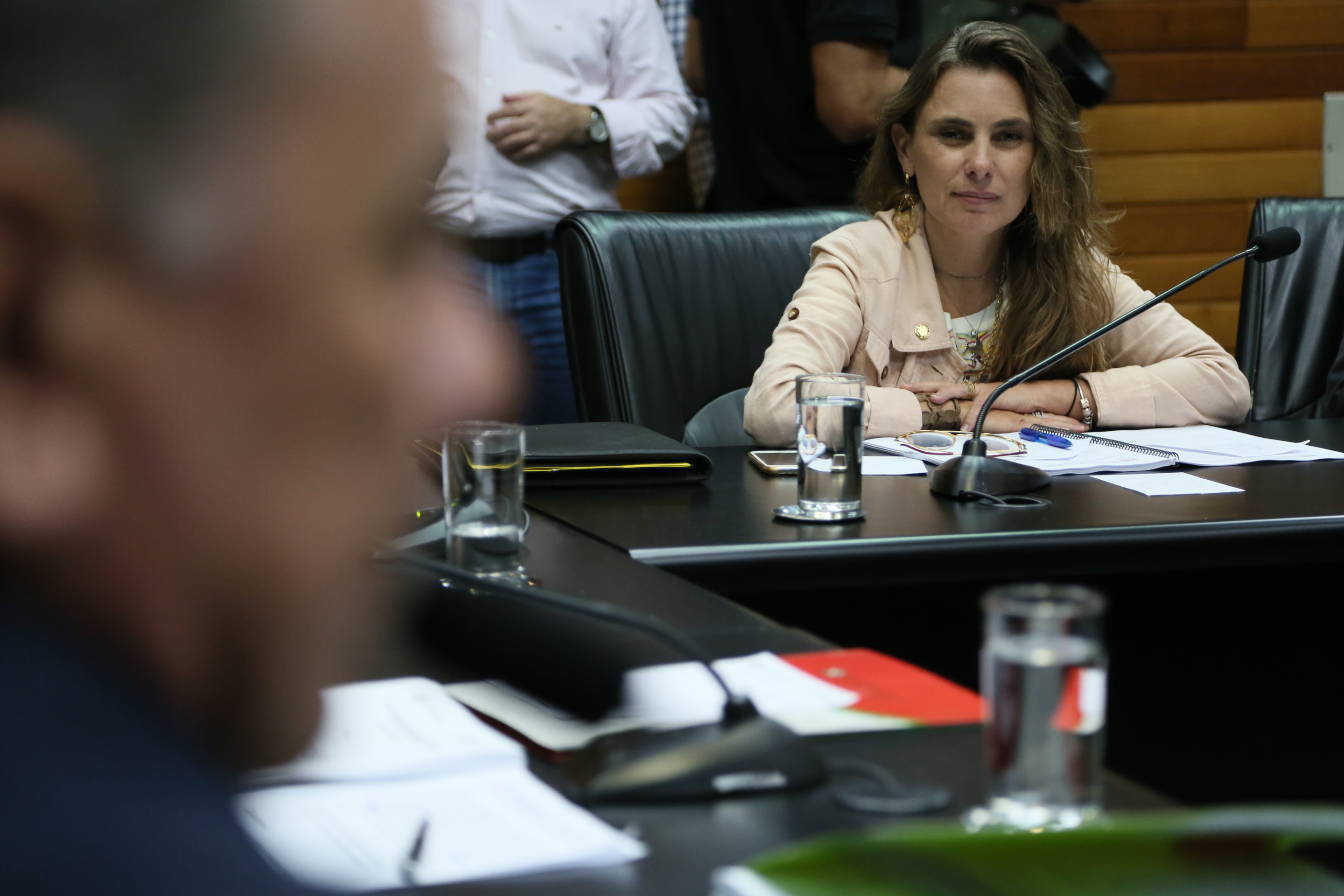 Comissão de Assuntos Municipais.