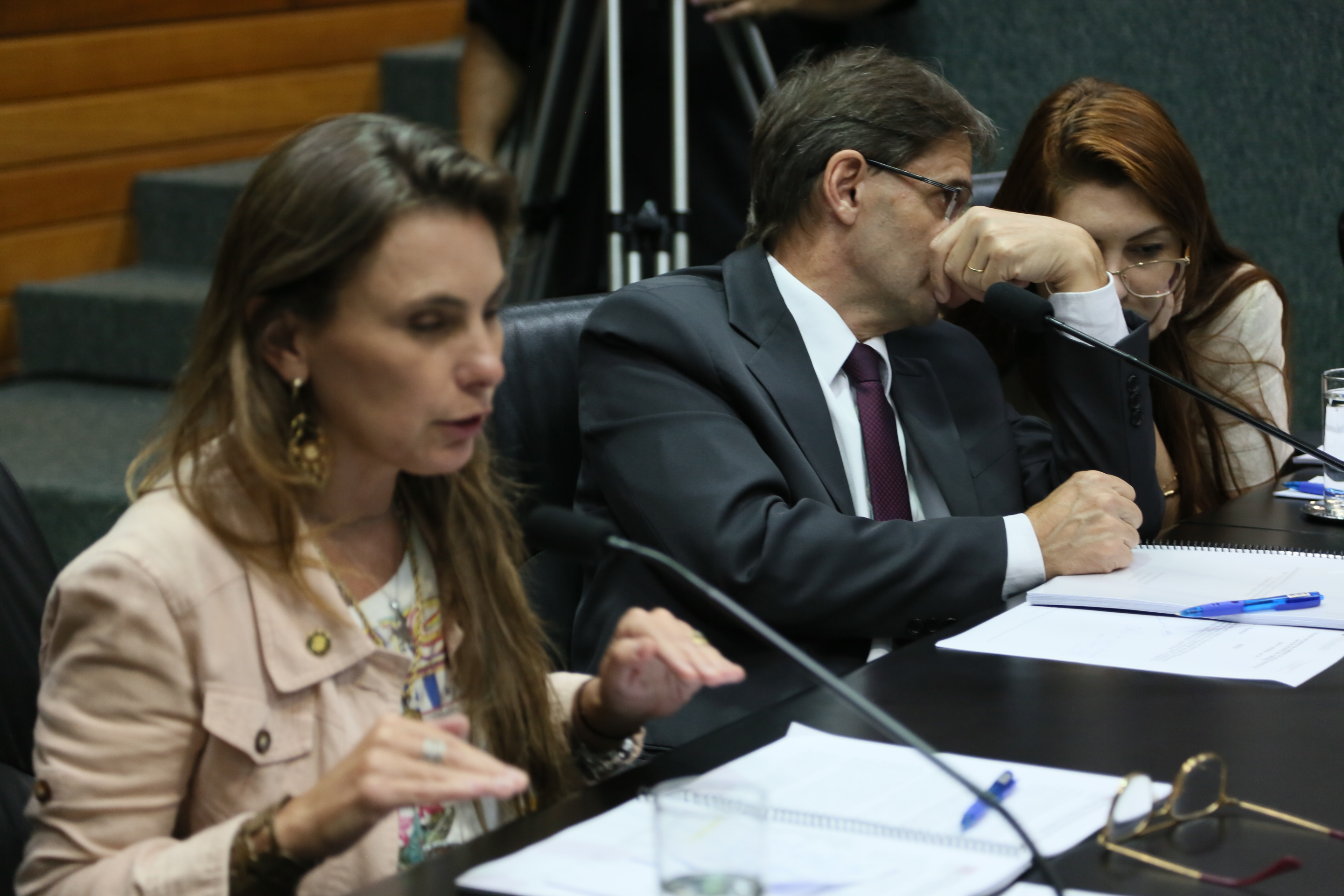 Comissão de Assuntos Municipais.