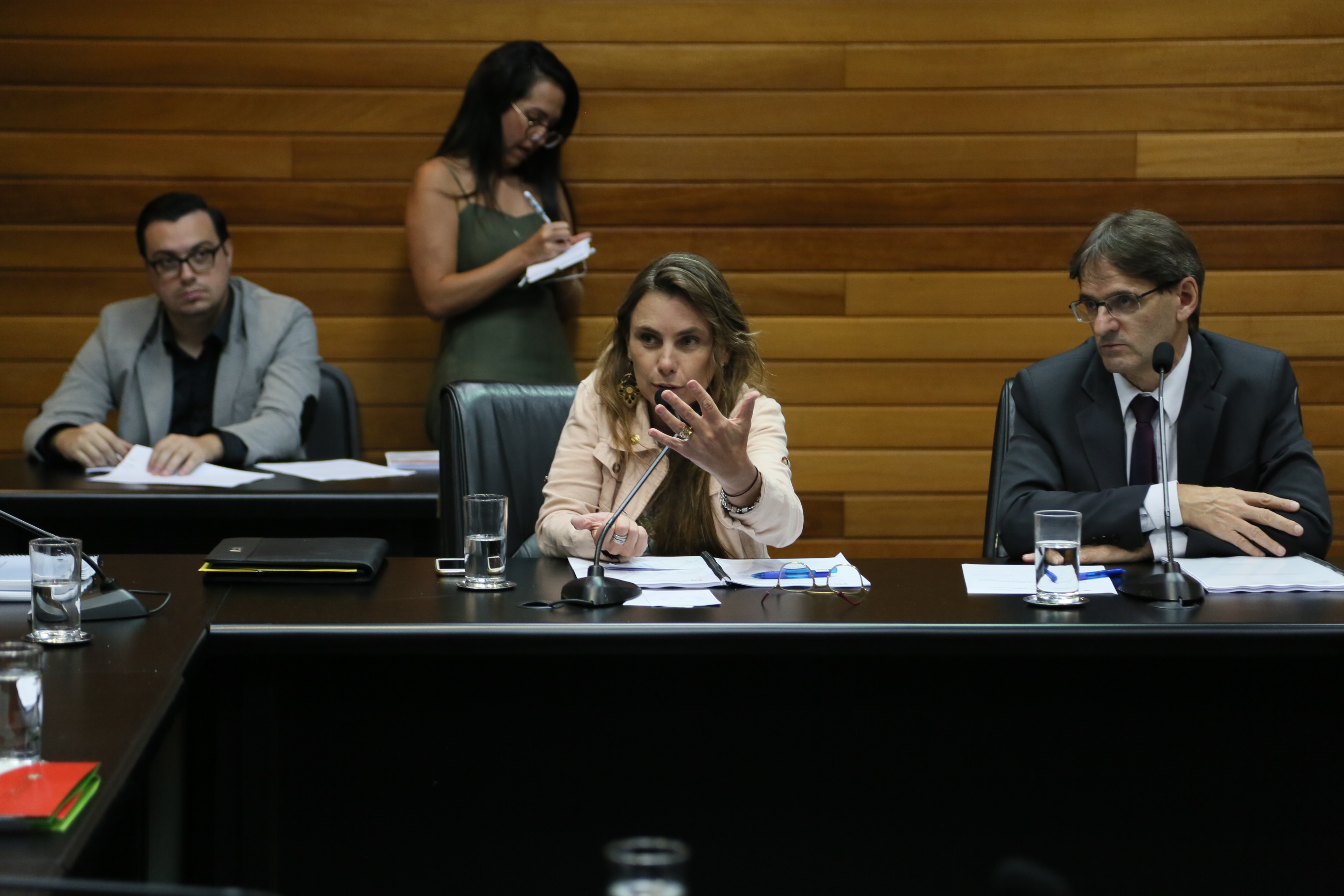 Comissão de Assuntos Municipais.