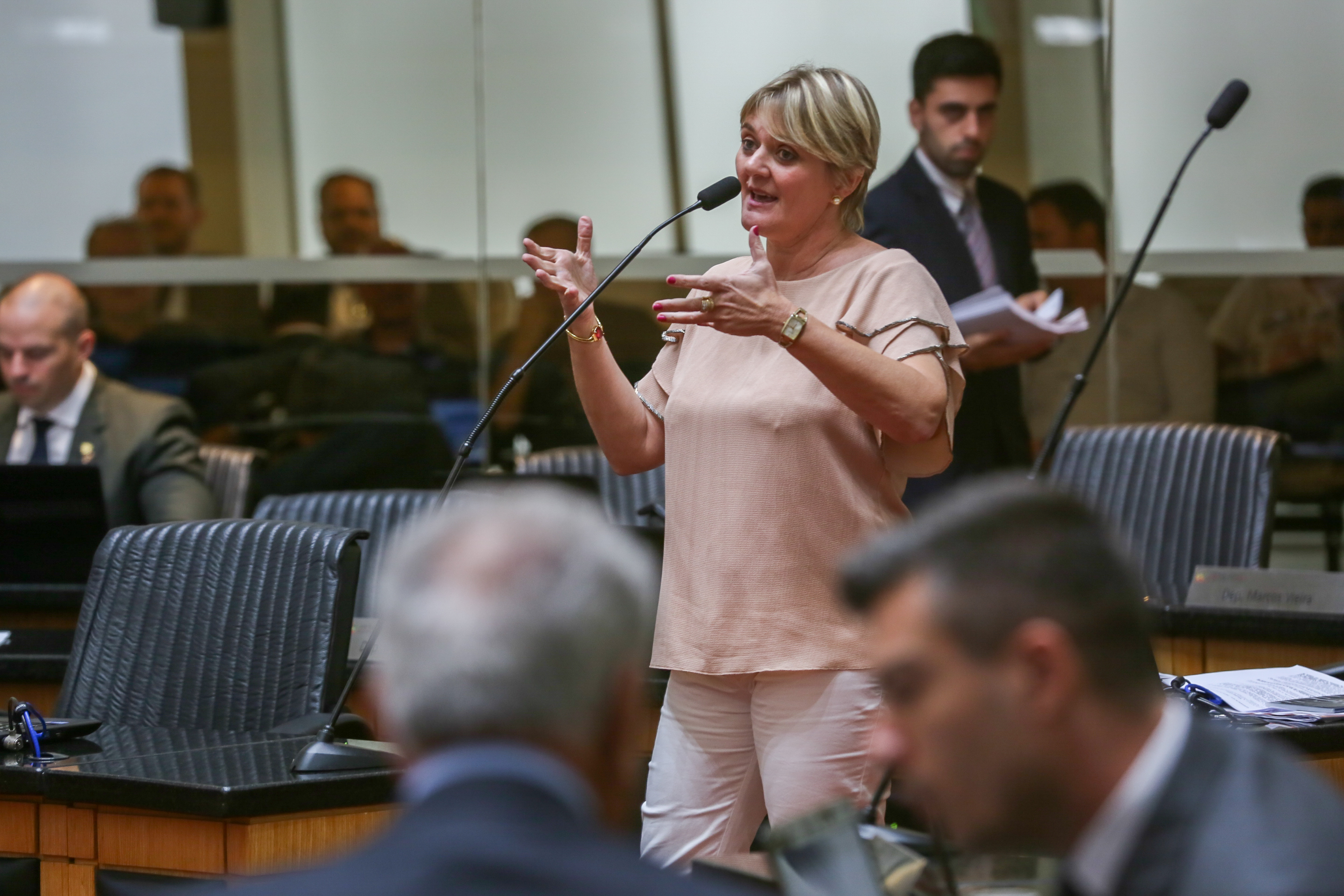 Sessão Ordinária.