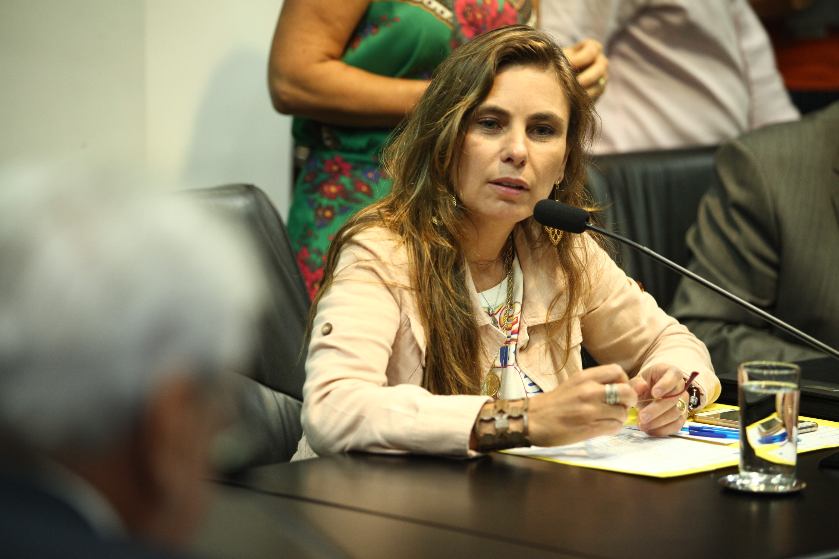 Comissão de Trabalho - Deputada Ana Paula da Silva (PDT)