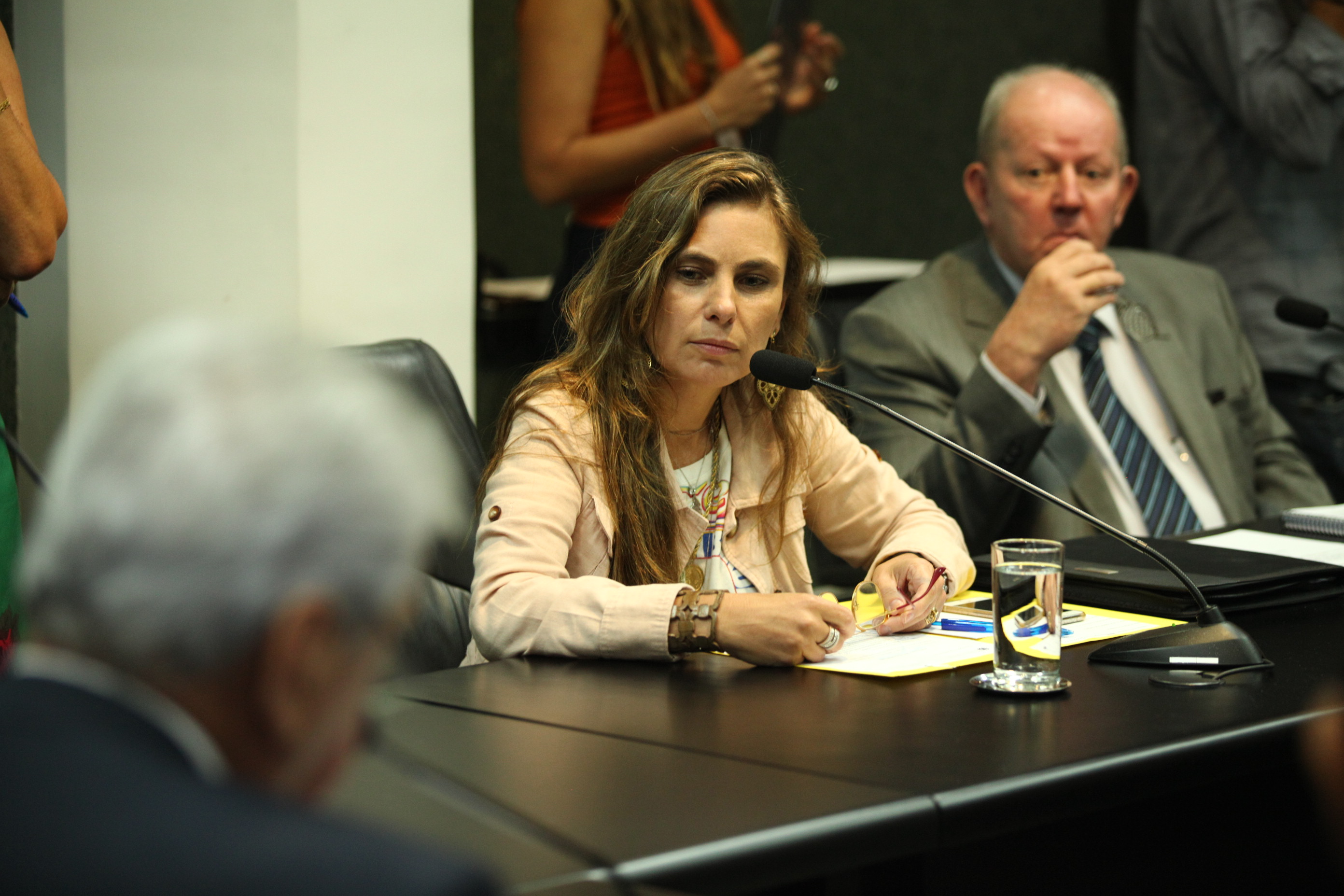 Comissão de Trabalho - Deputada Ana Paula da Silva (PDT)