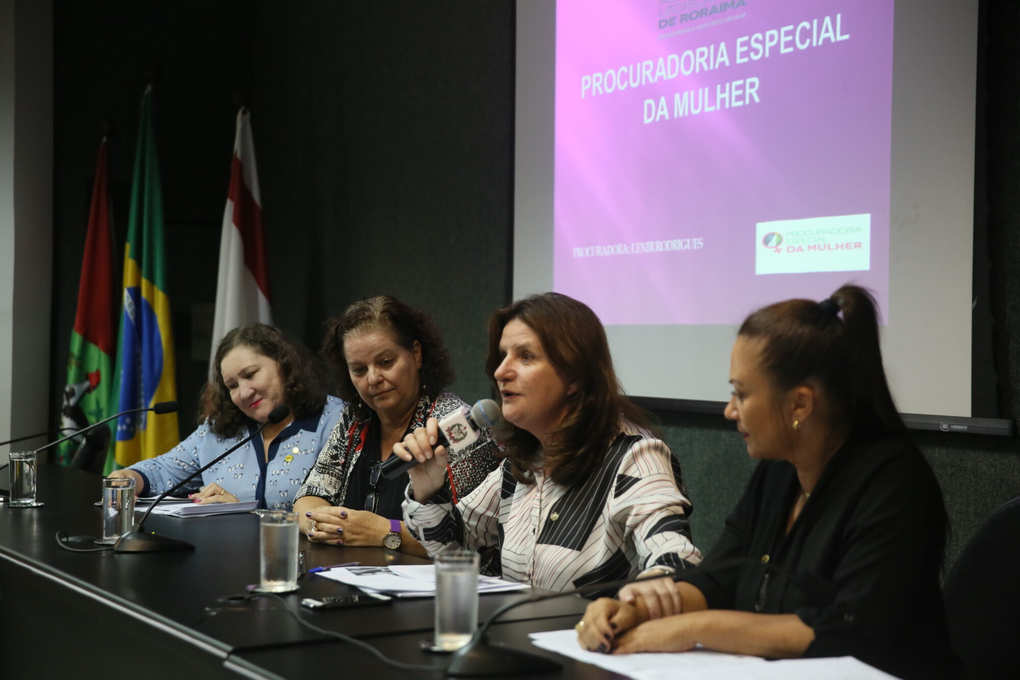 Alesc debate políticas afirmativas de proteção à mulher