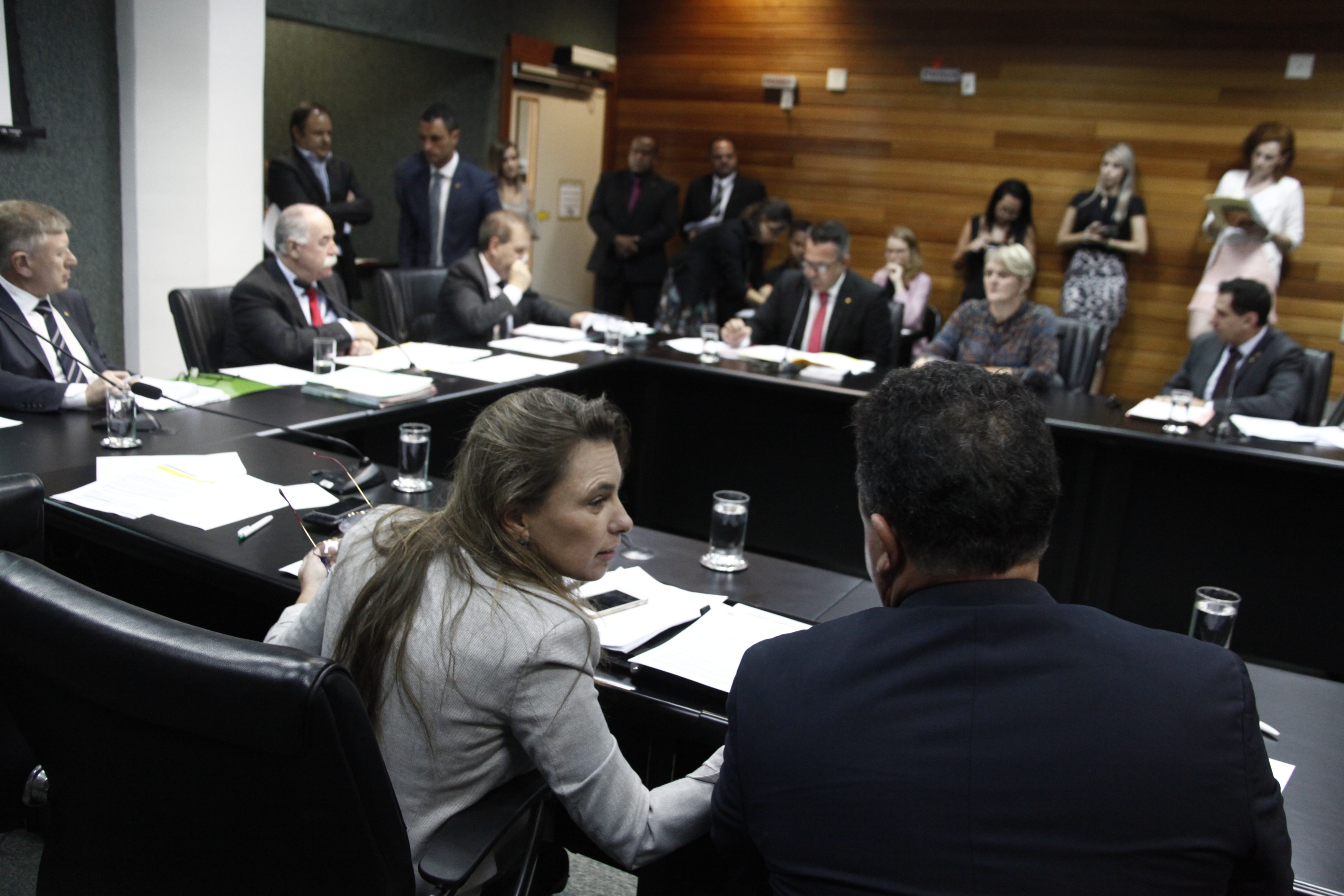 Comissão de Constituição e Justiça