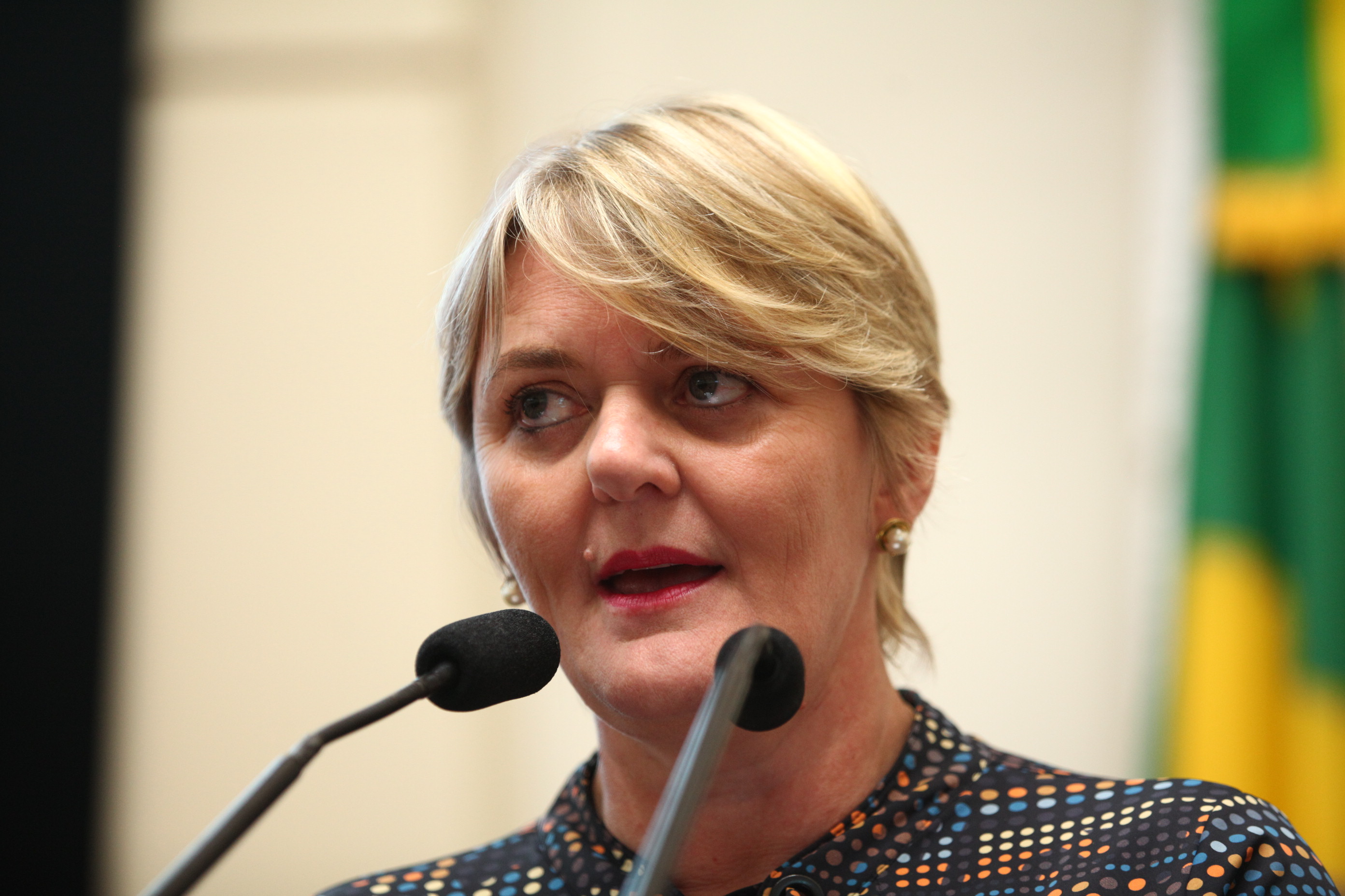 Sessão Plenária - Deputada Luciane Carminatti (PT)