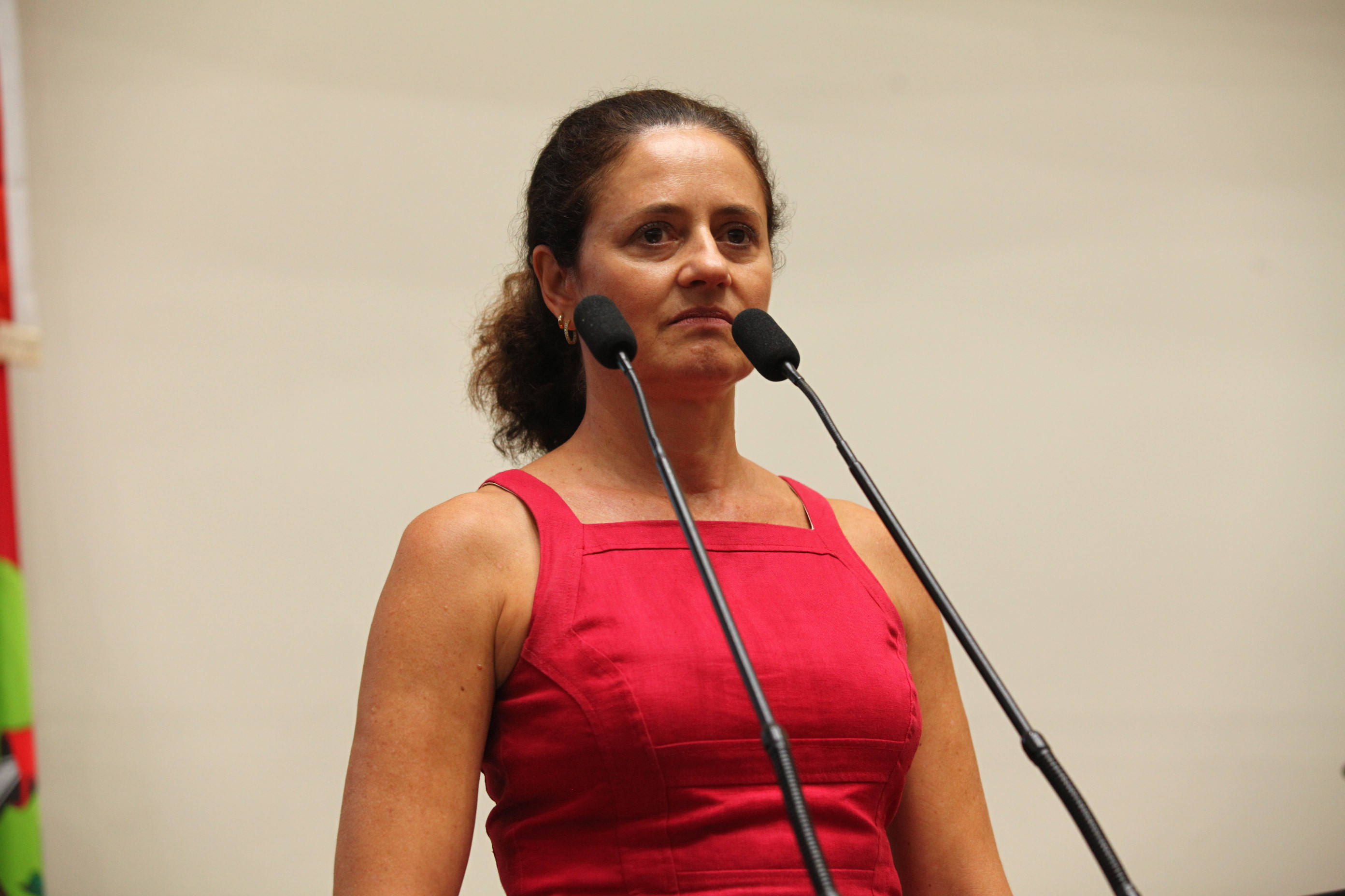 Sessão Plenária - Deputada Marlene Fengler (PSD)