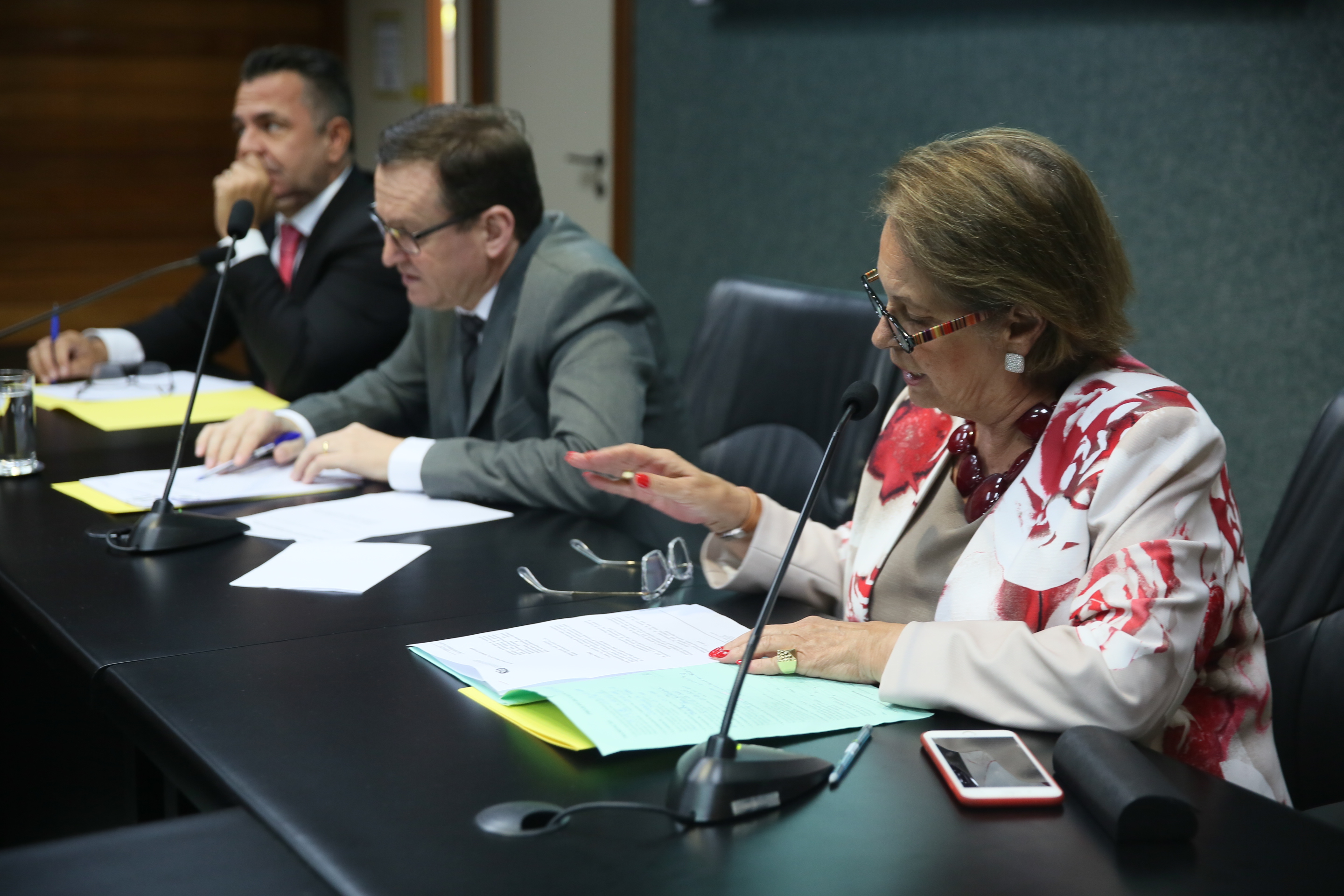 Reunião da Comissão de Economia, Ciência, Tecnologia, Minas e Energia.