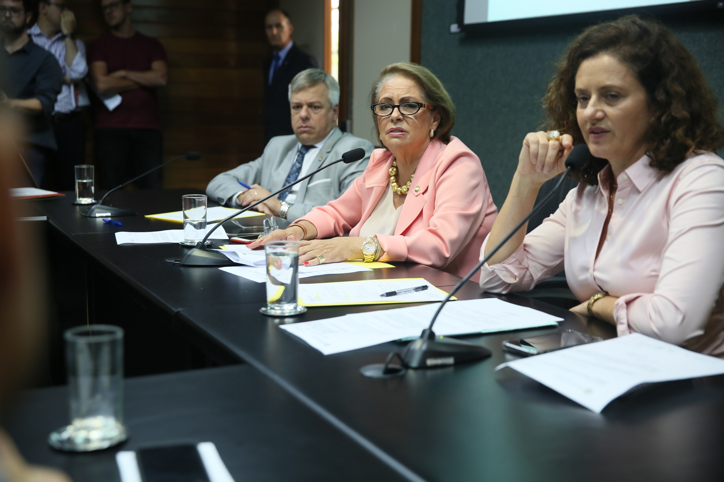 Comissão de Direitos Humanos