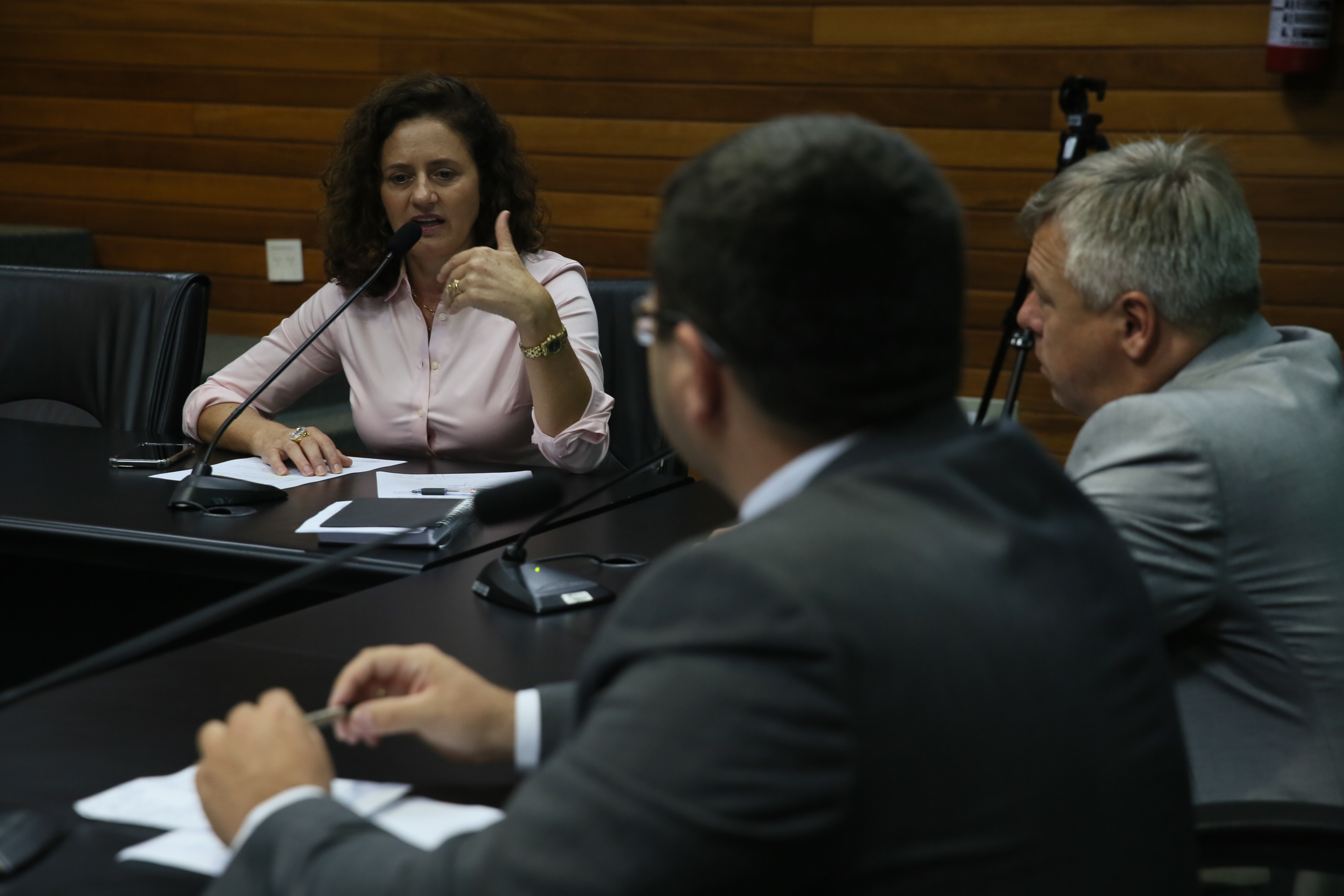 Comissão de Defesa dos Direitos do Idoso.