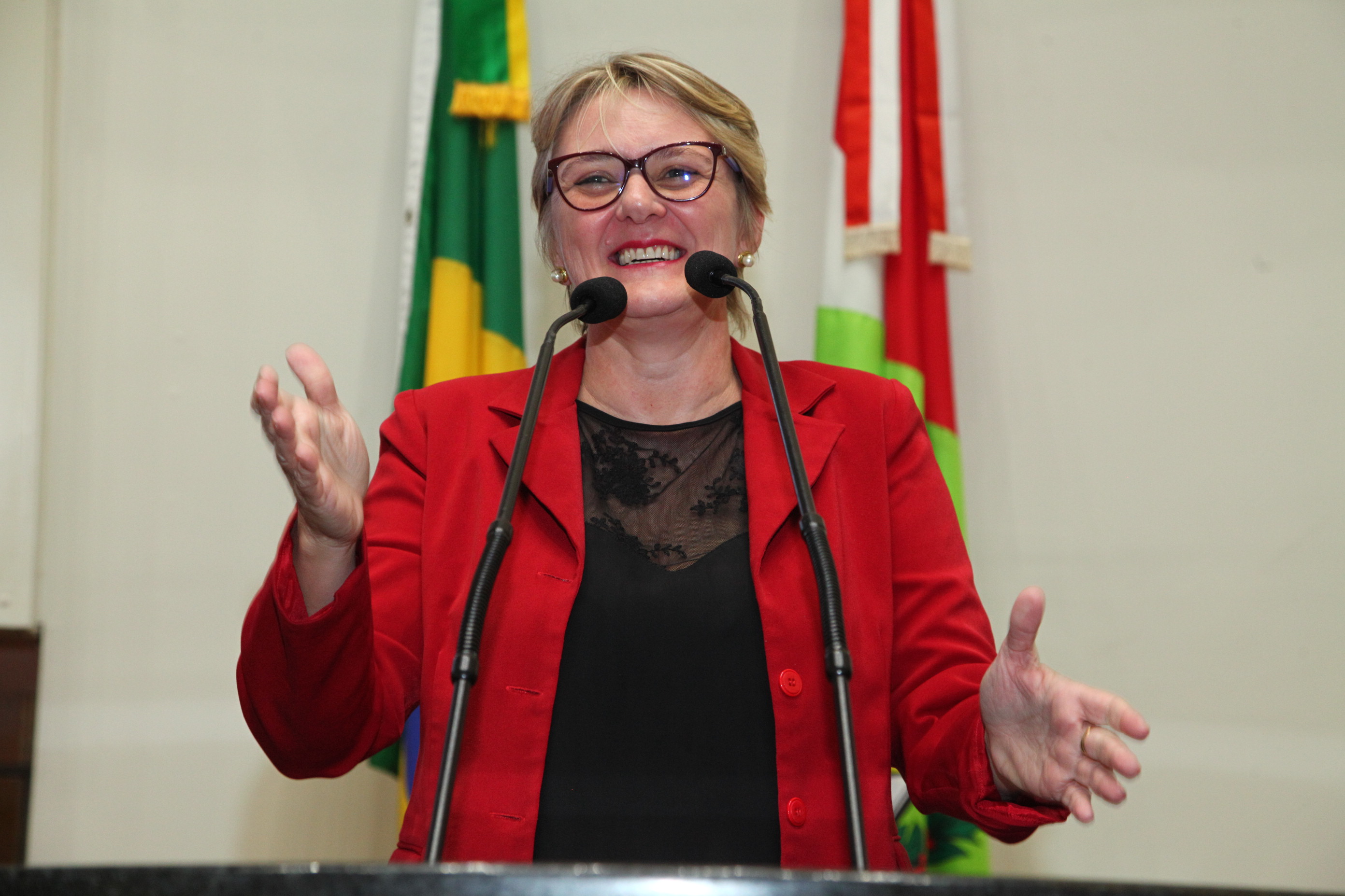 Sessão Plenária - Deputada Luciane Carminatti (PT)